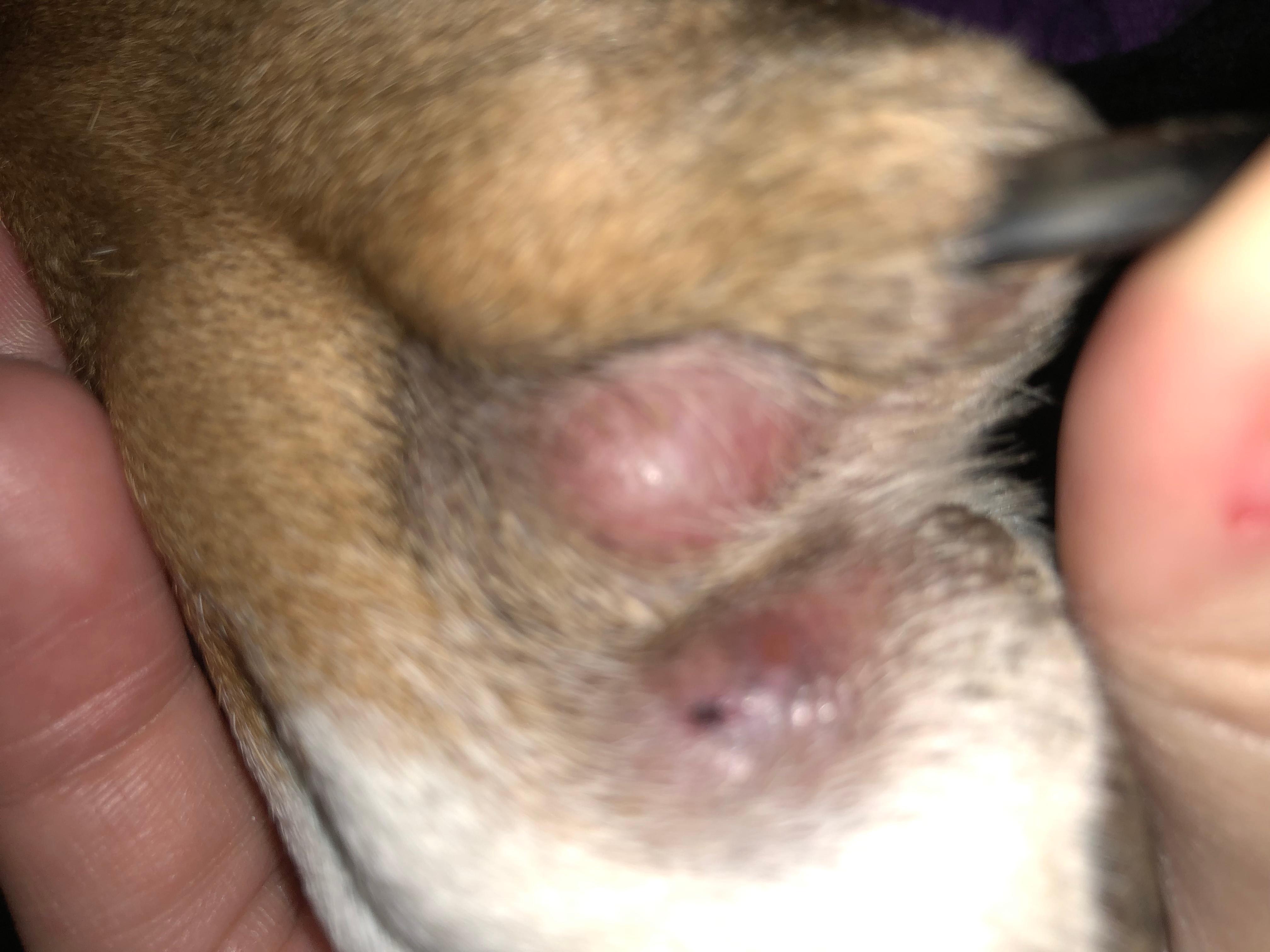 Question details sensitive content