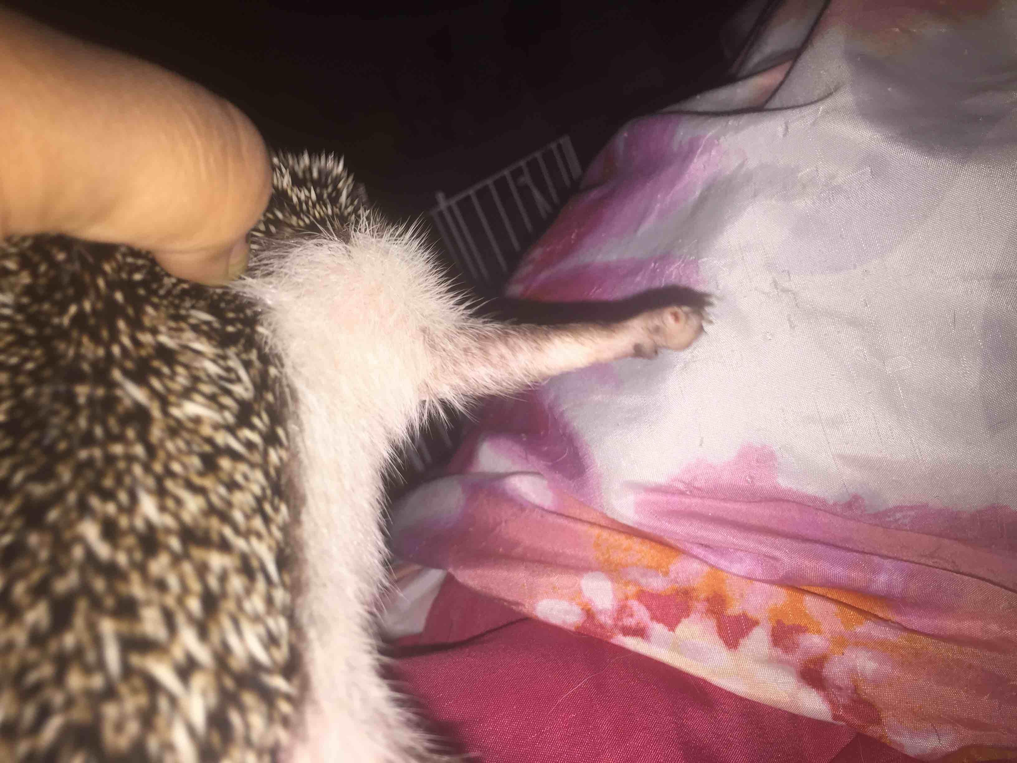 Question details sensitive content