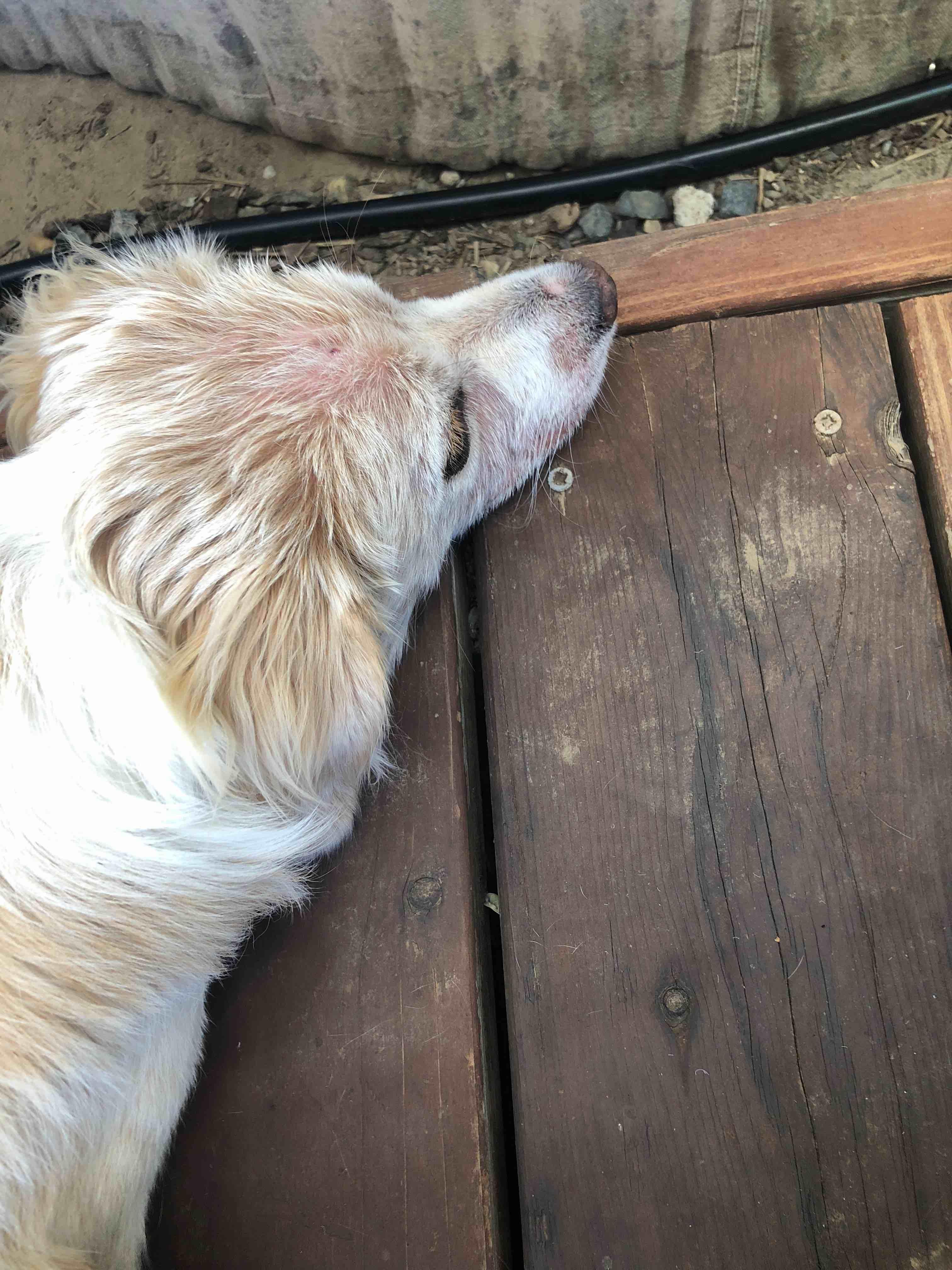 Question details sensitive content