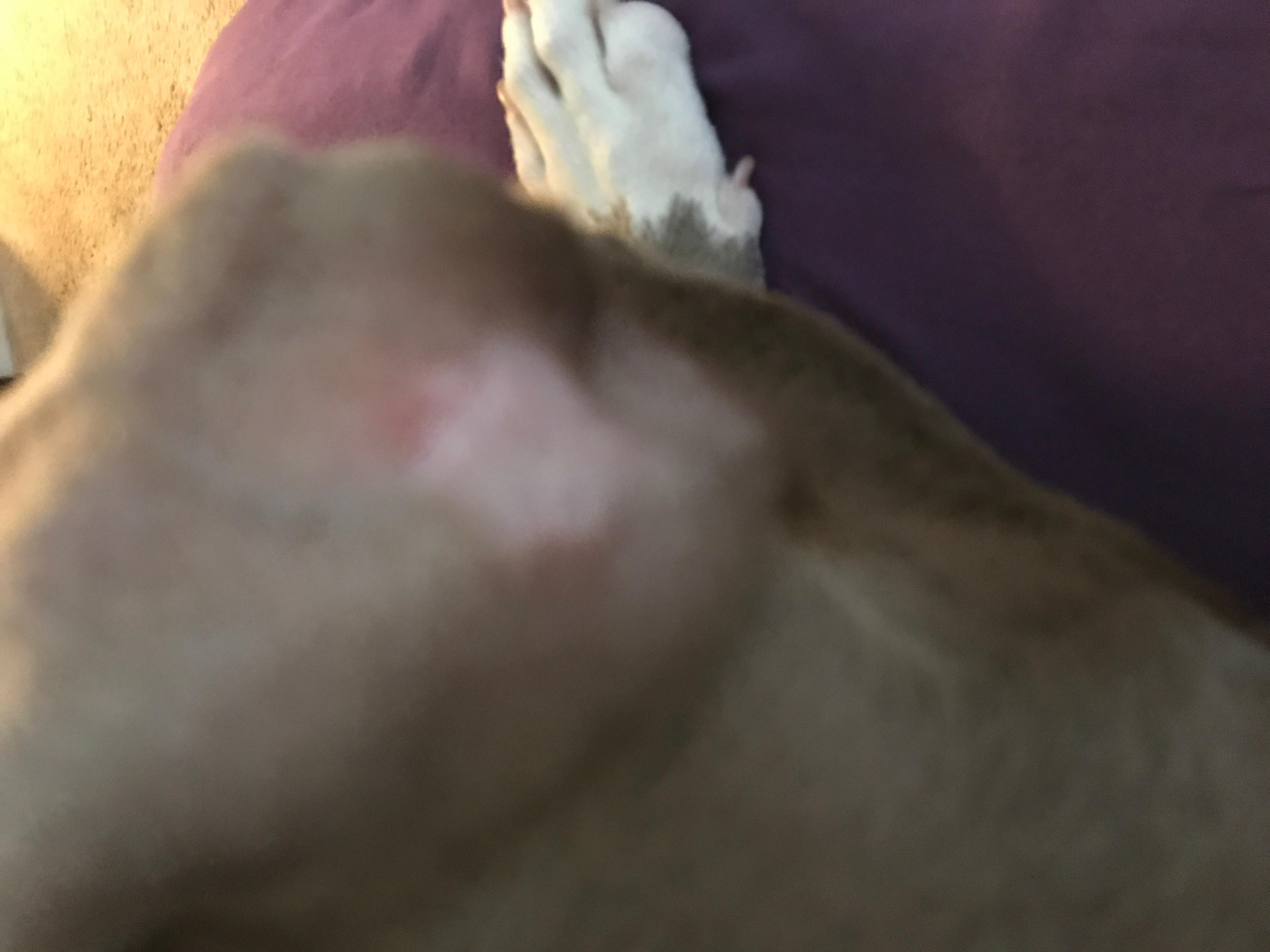 Question details sensitive content