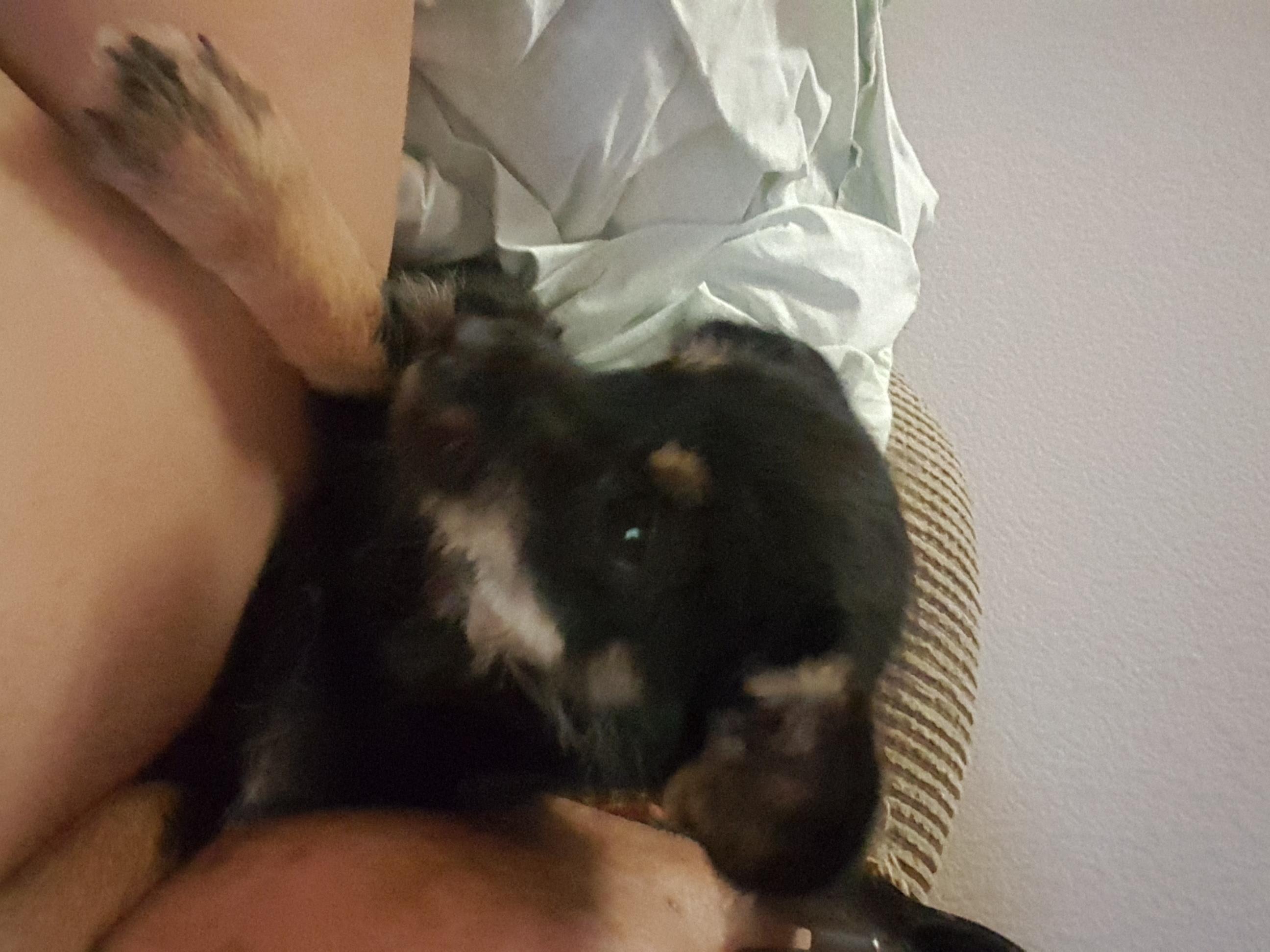 Question details sensitive content