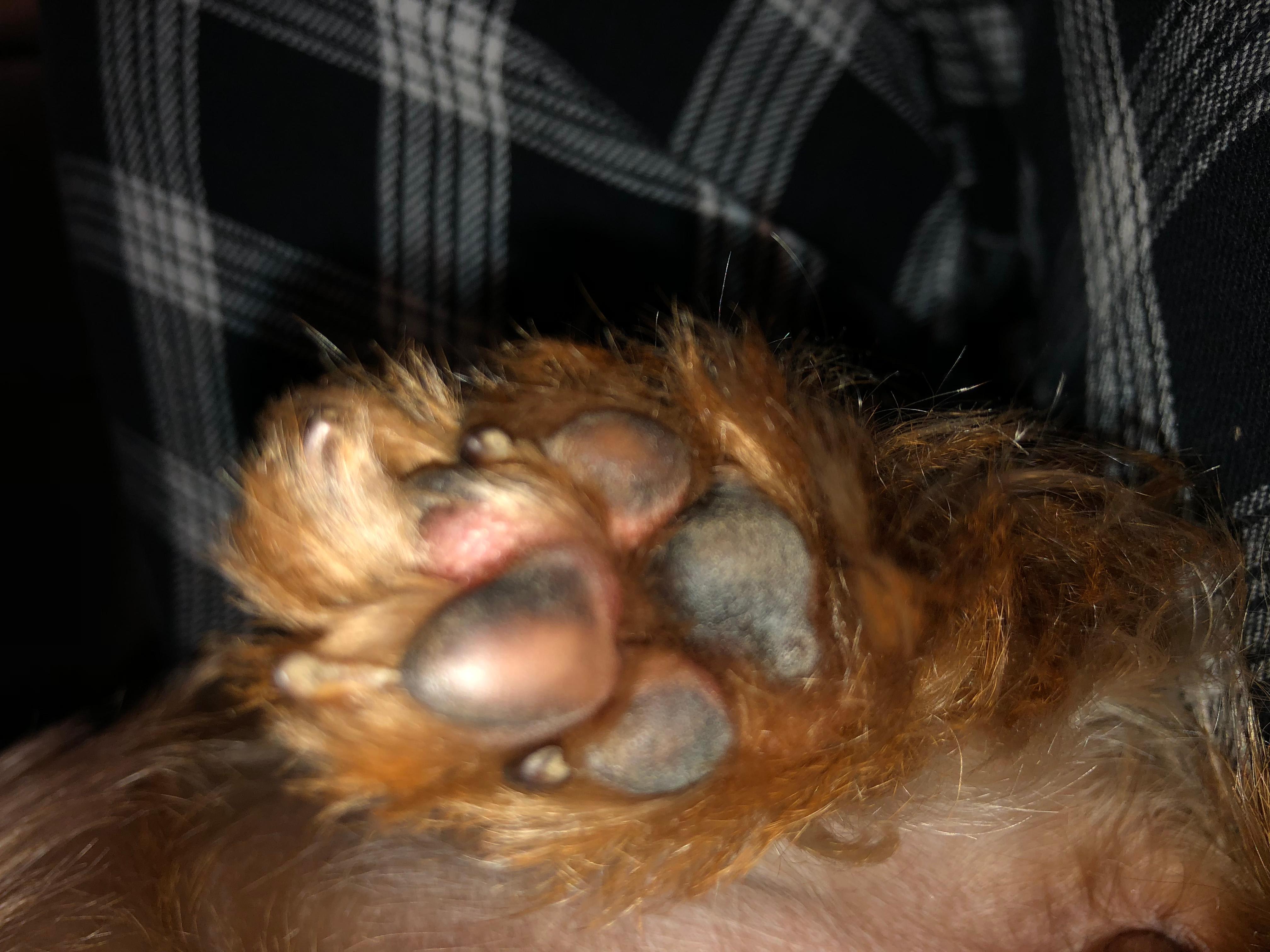 Question details sensitive content