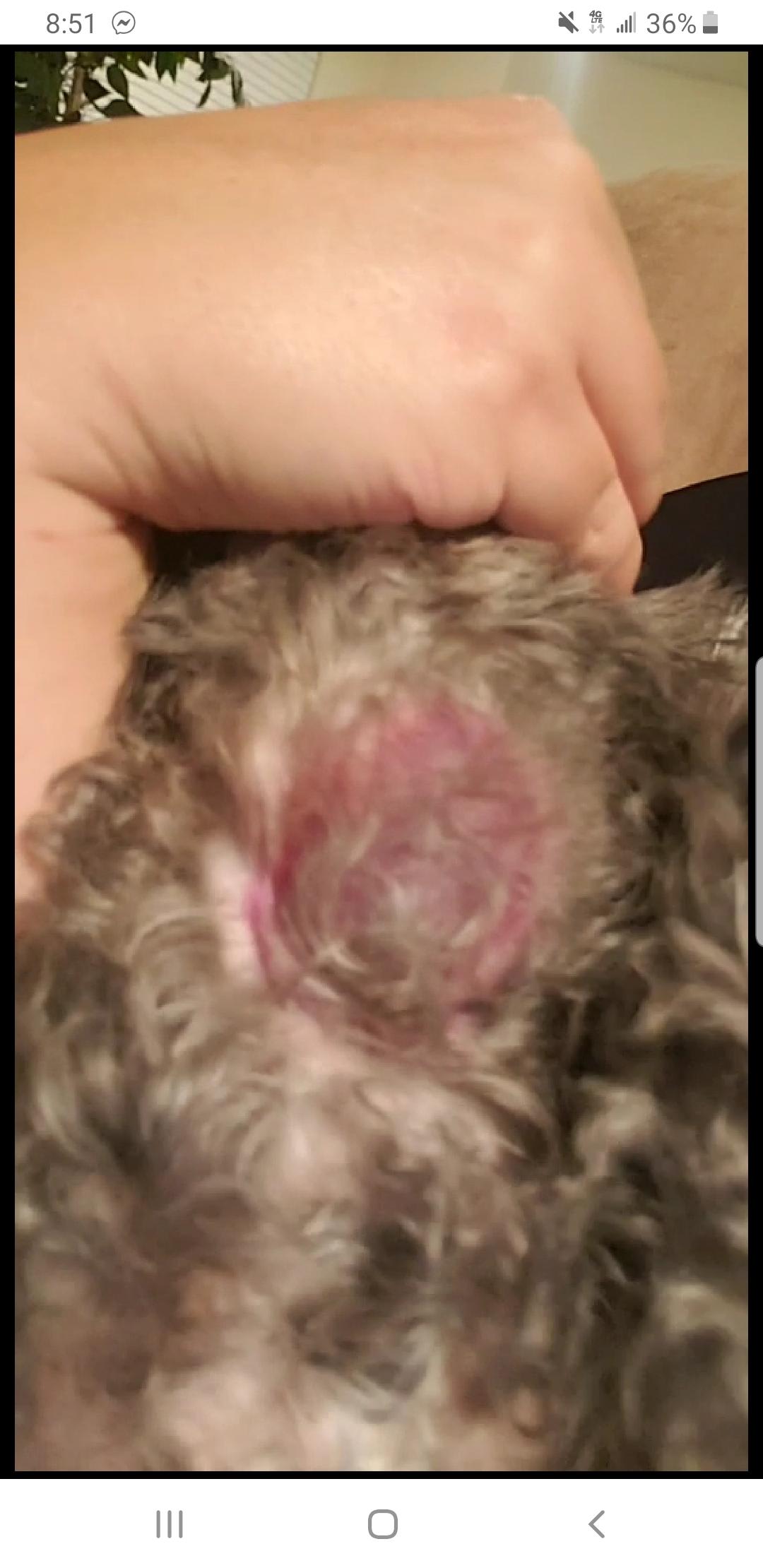 Question details sensitive content