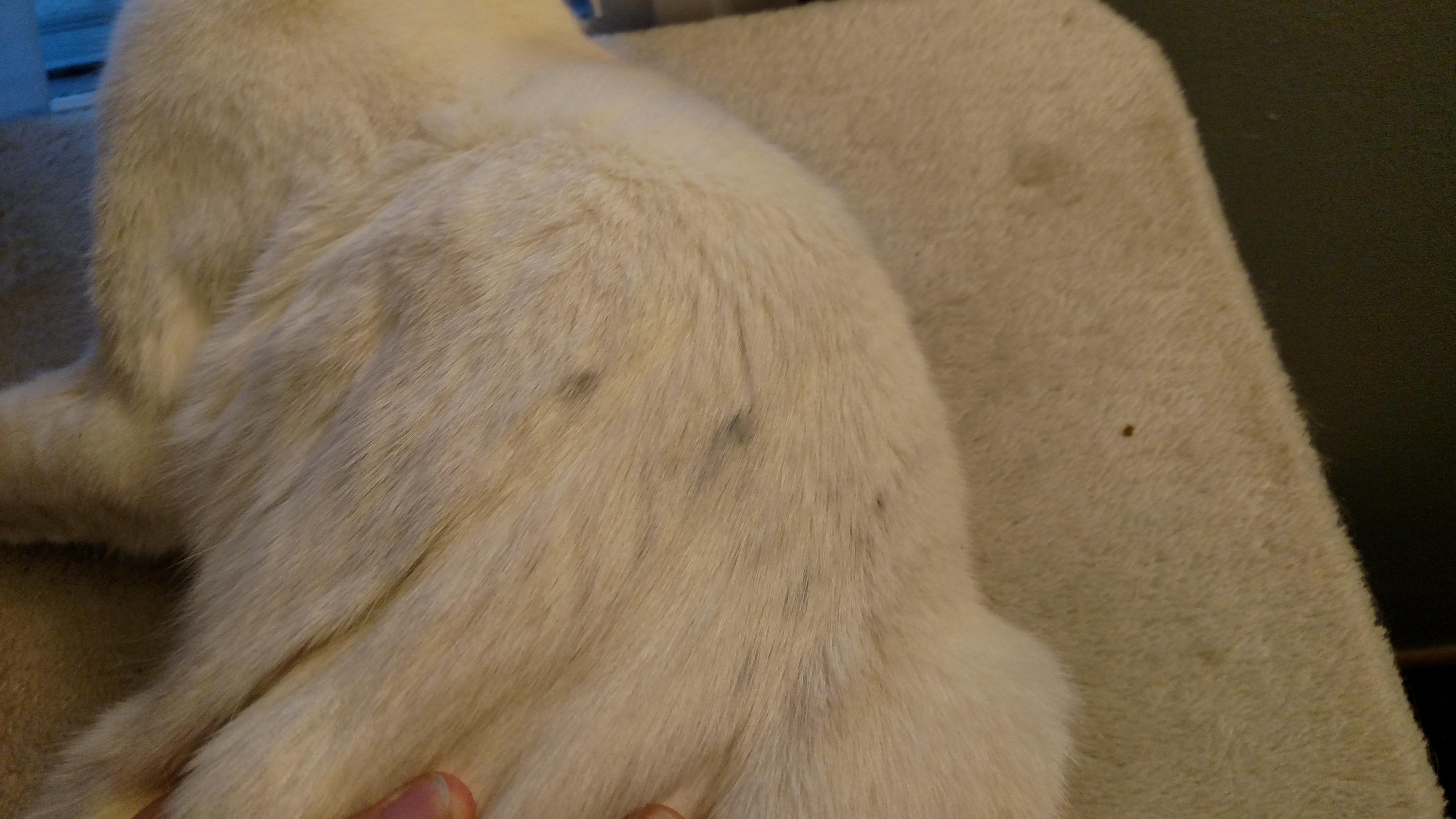 Question details sensitive content