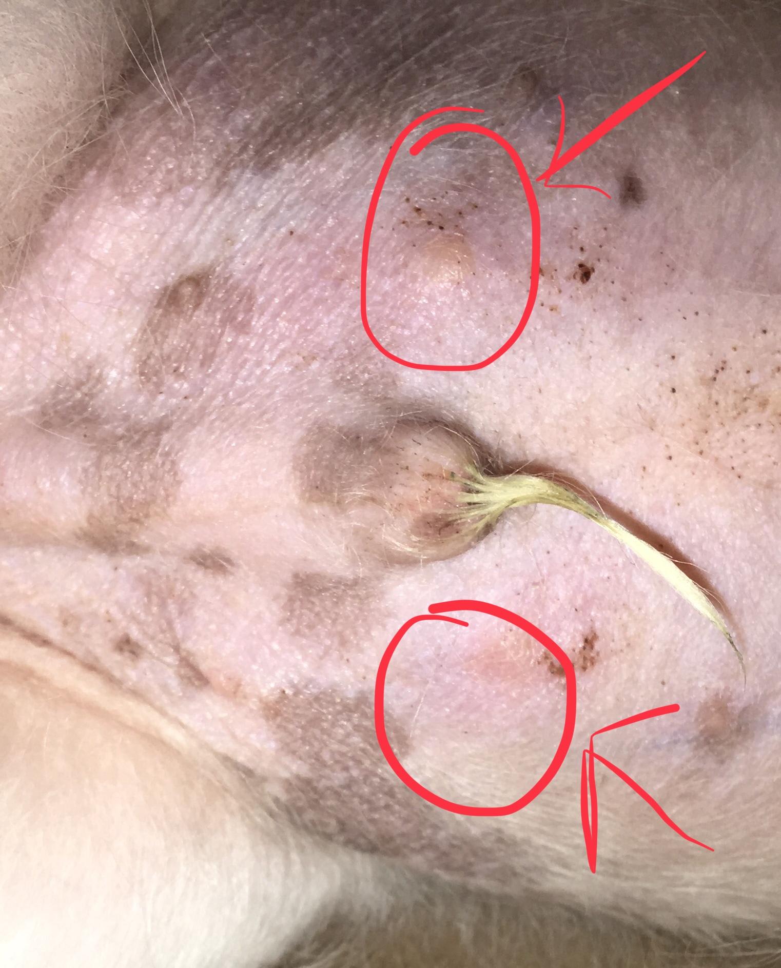 Question details sensitive content