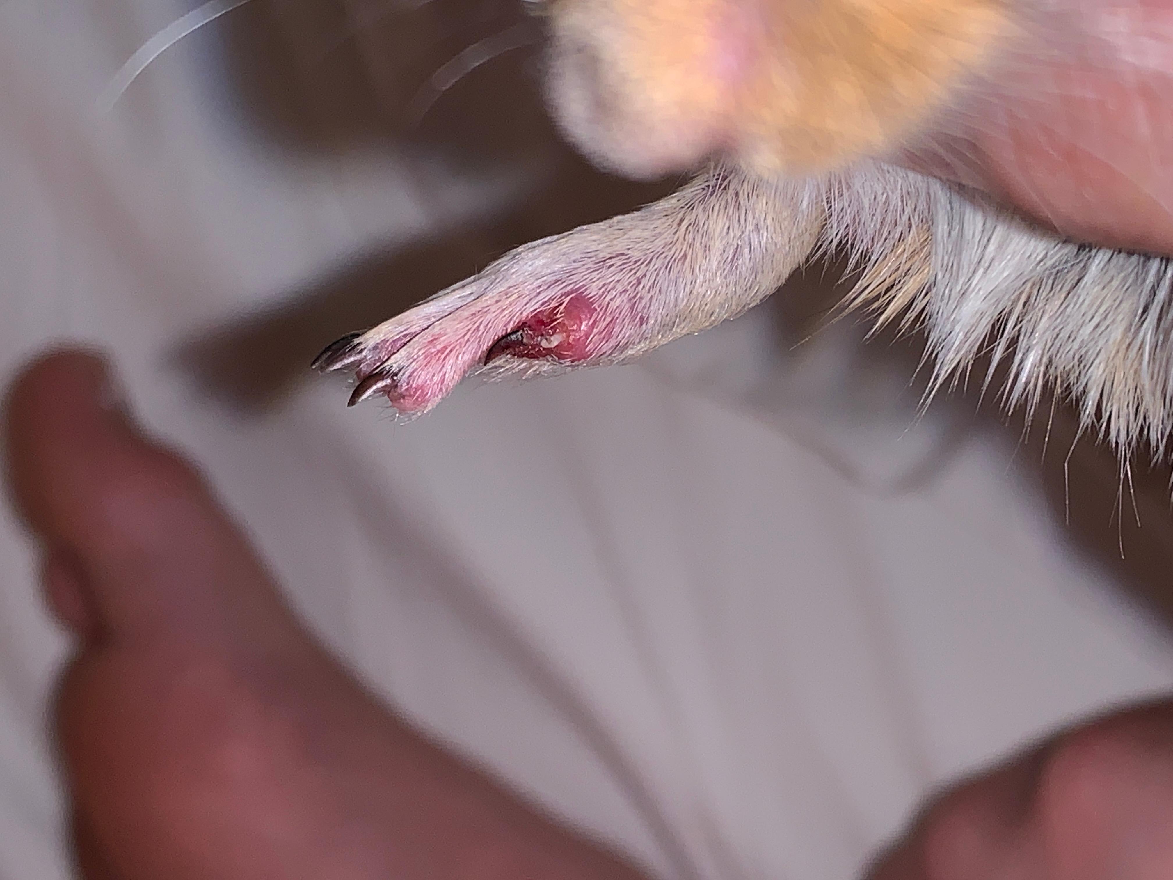 Question details sensitive content