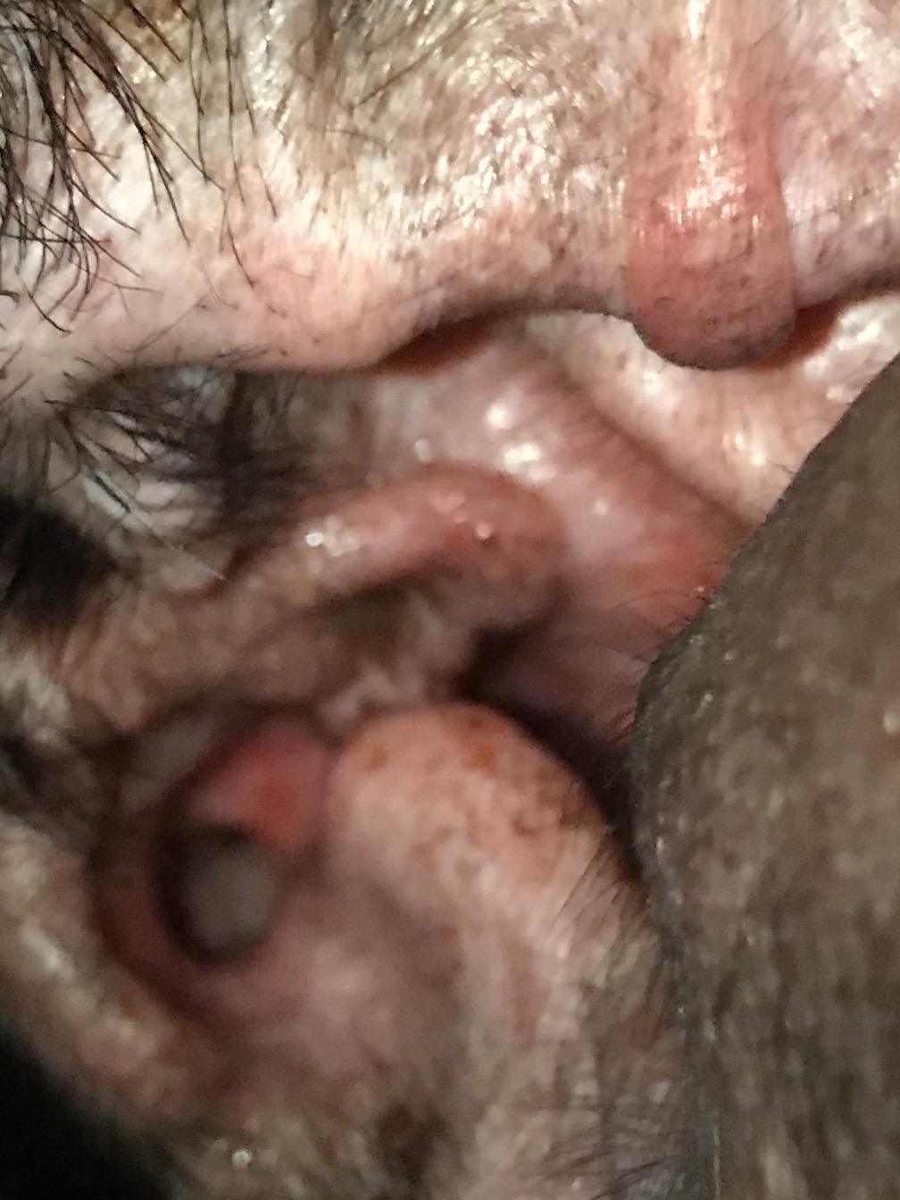 Question details sensitive content