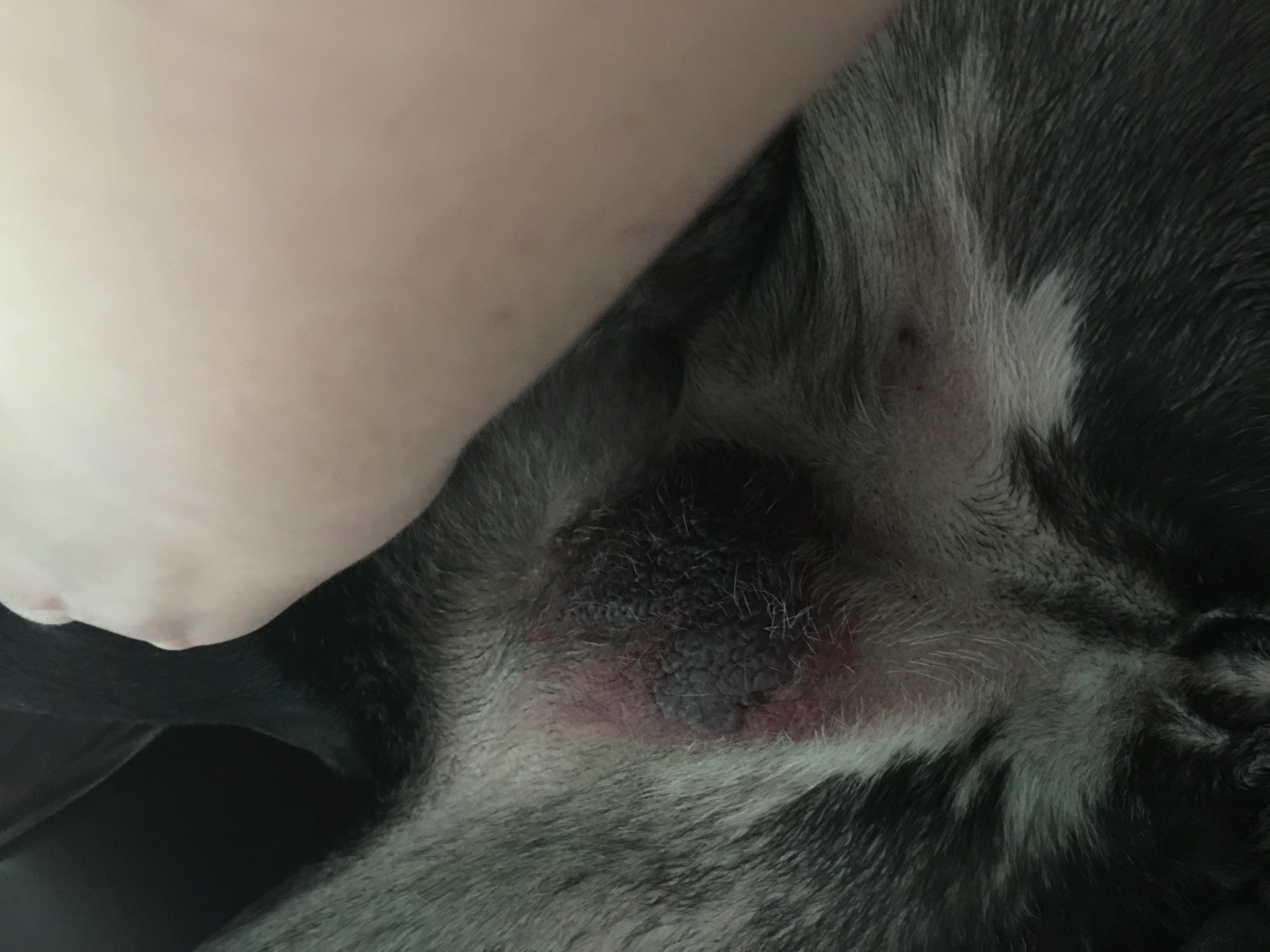 Question details sensitive content