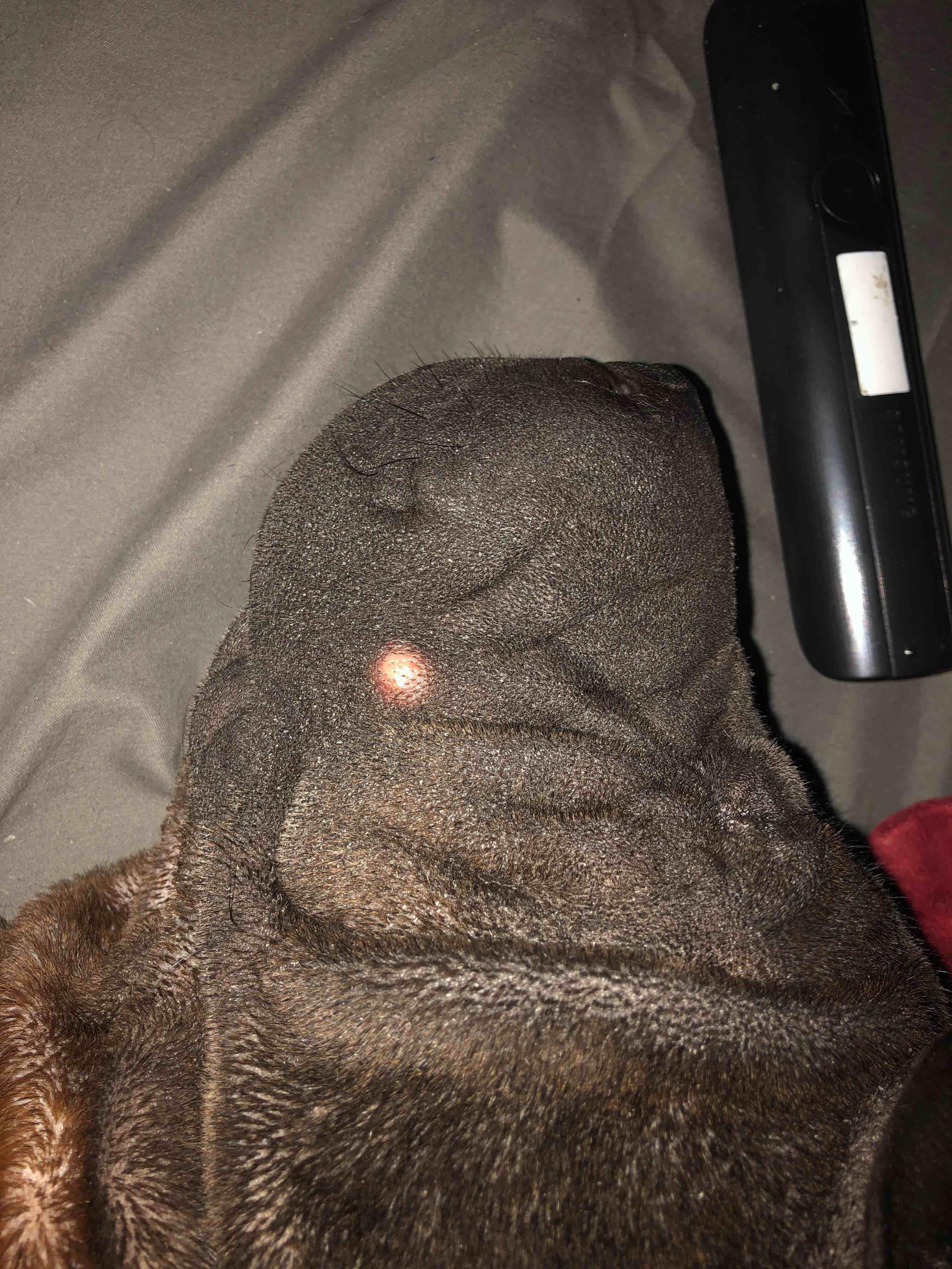 Question details sensitive content