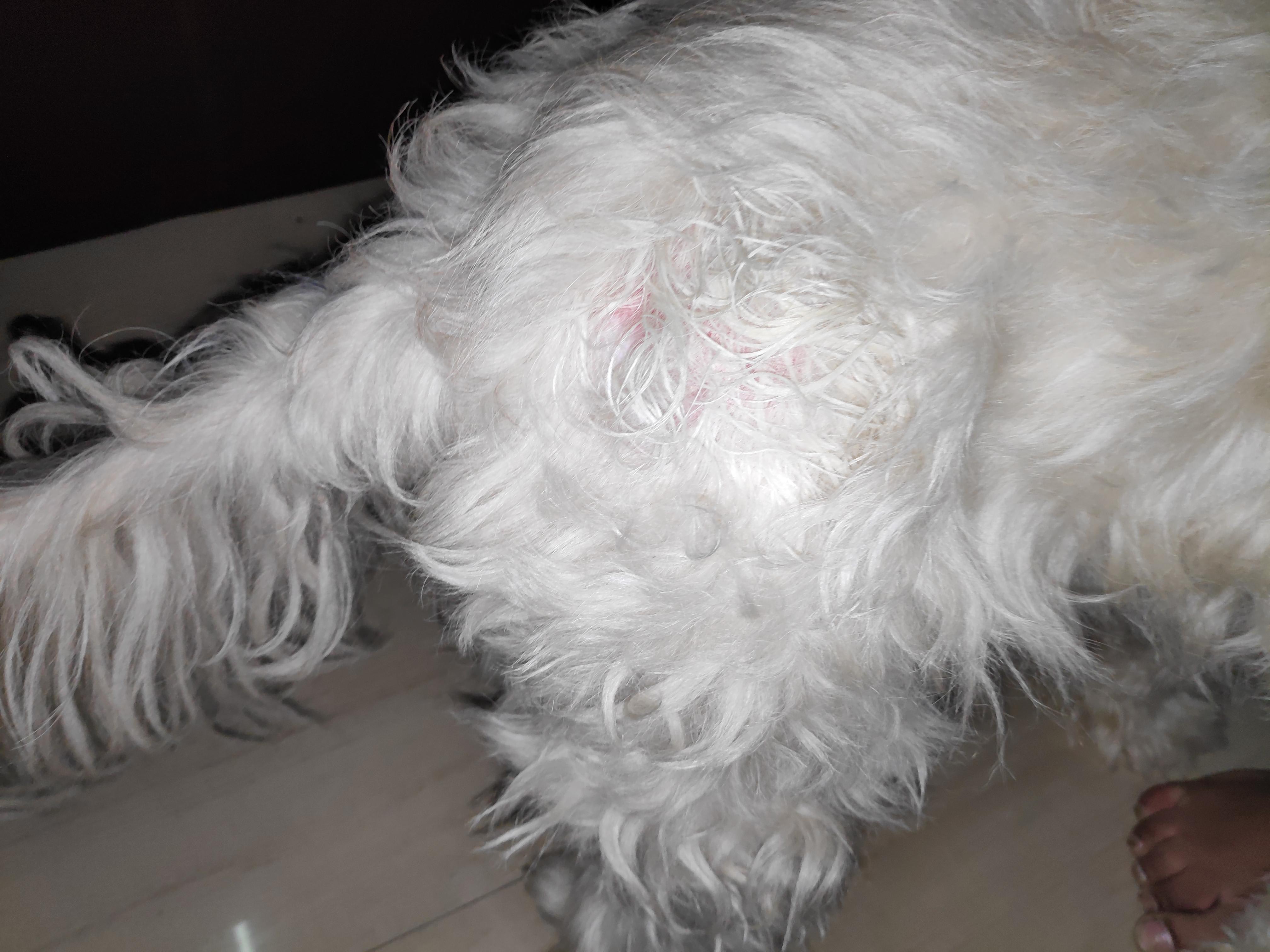 Question details sensitive content