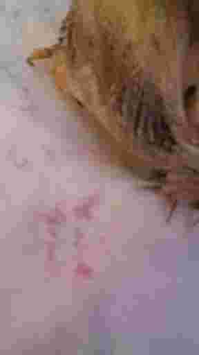 Question details sensitive content