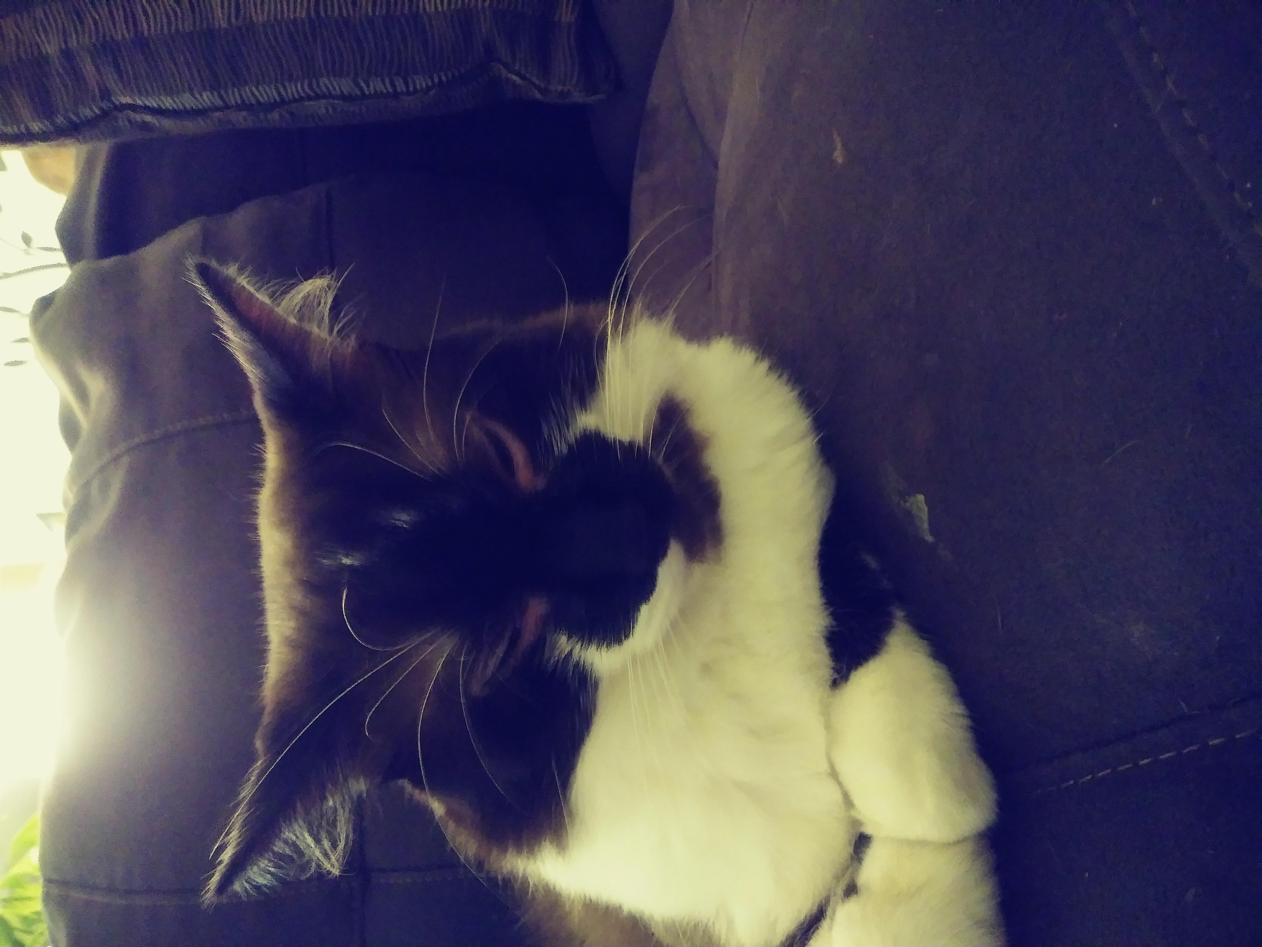 Question details sensitive content