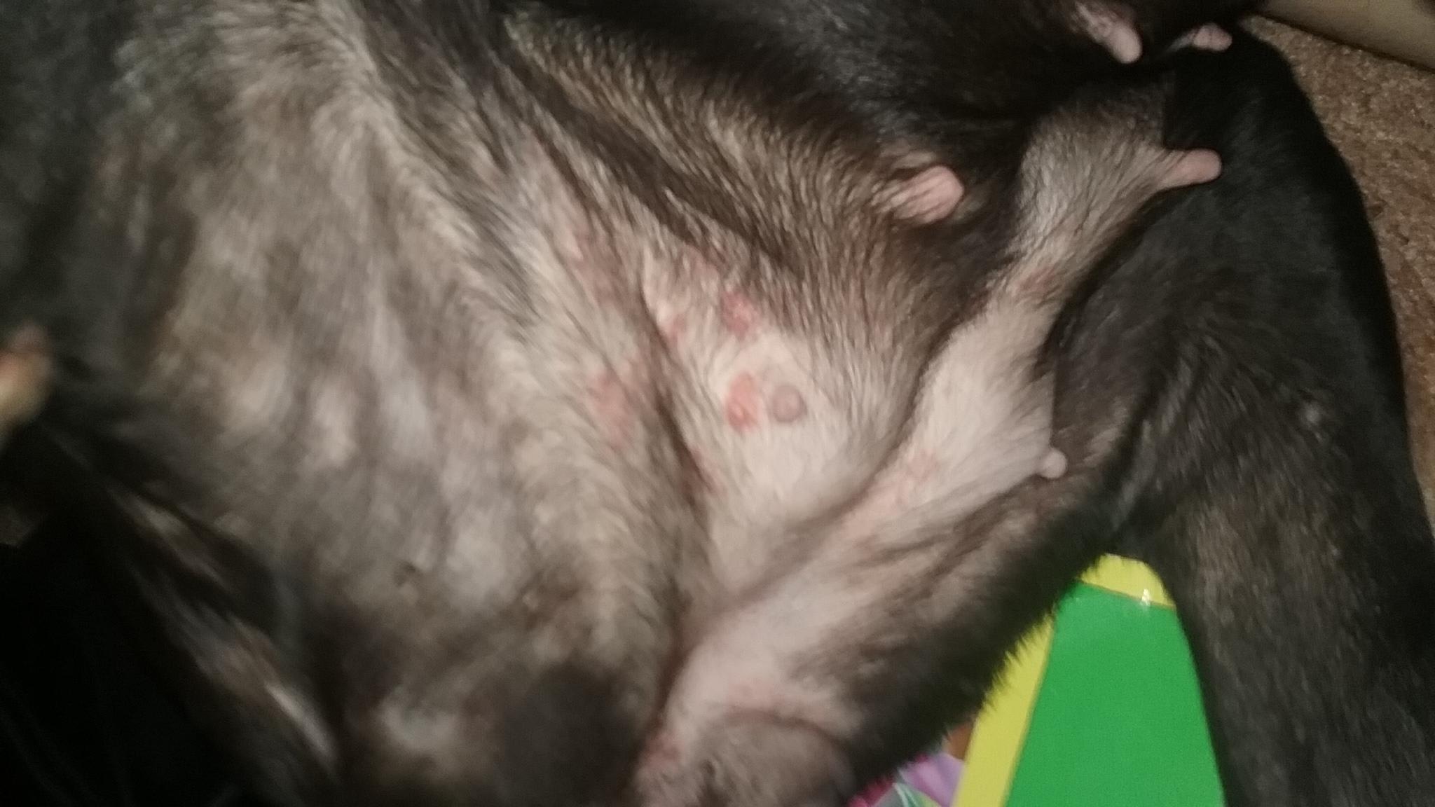 Question details sensitive content