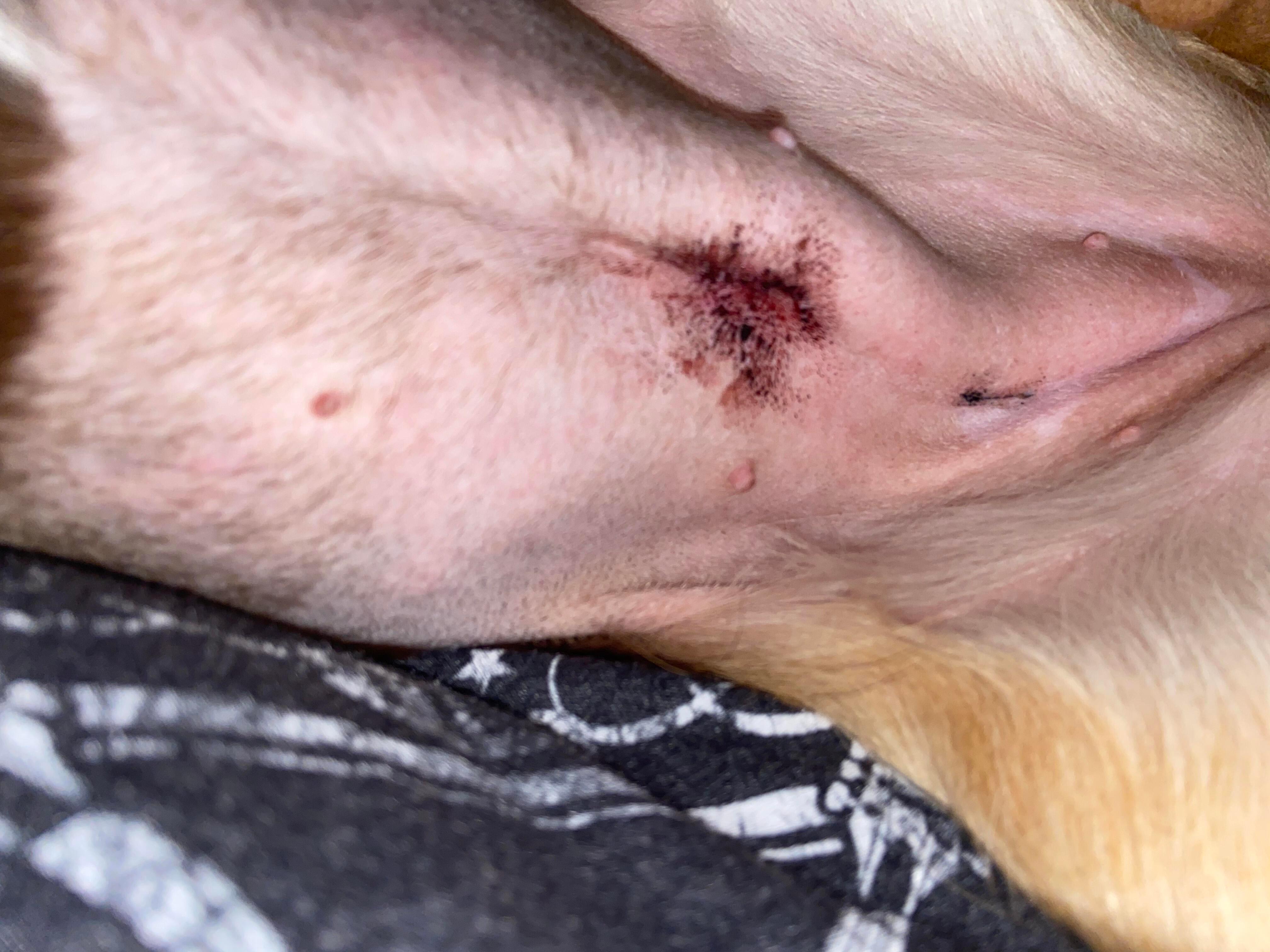 Question details sensitive content