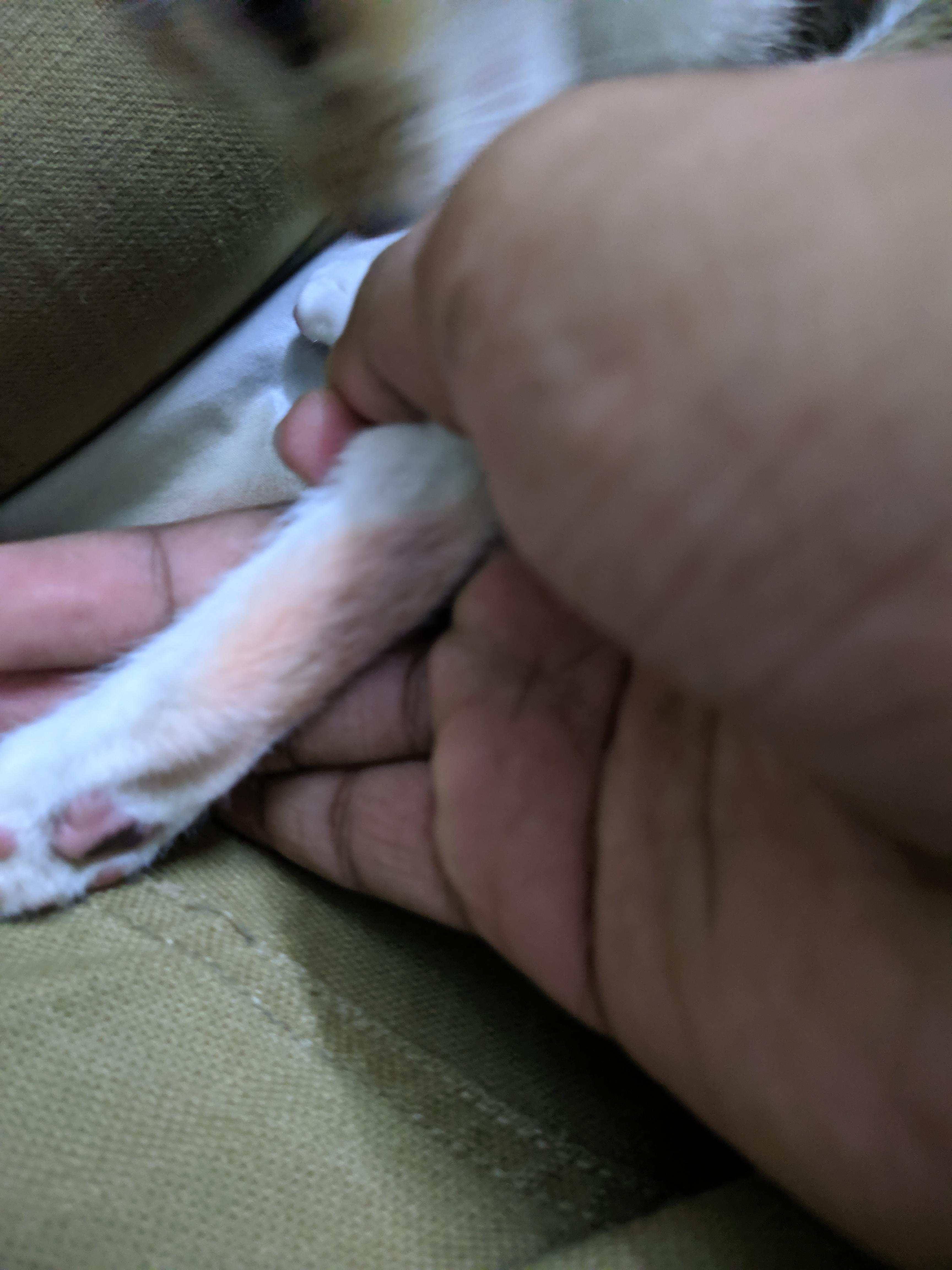 Question details sensitive content