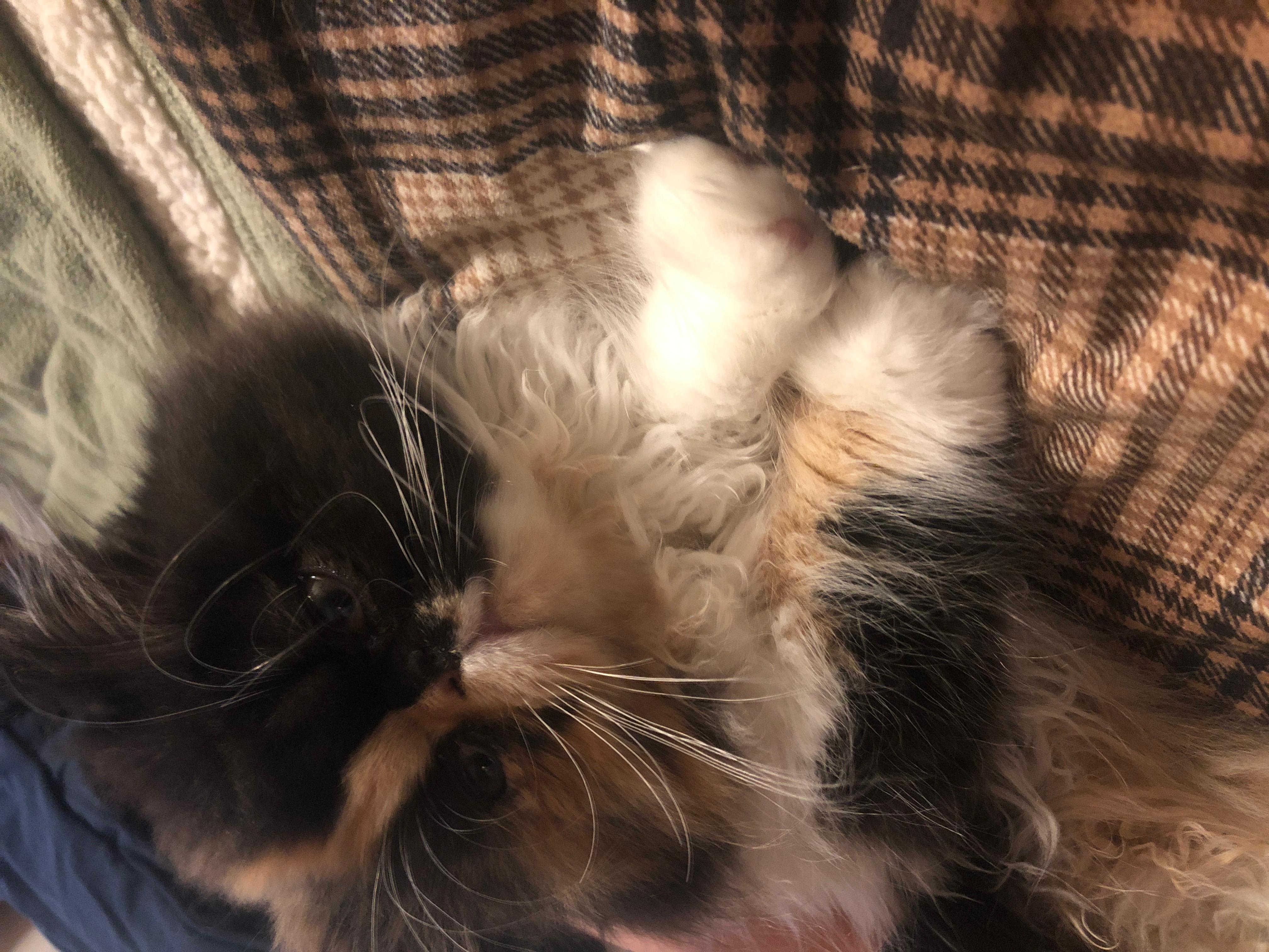 Question details sensitive content