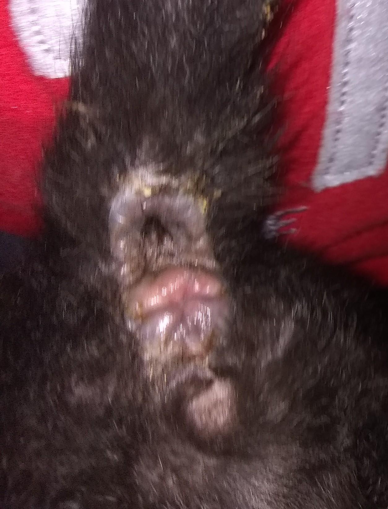 Question details sensitive content