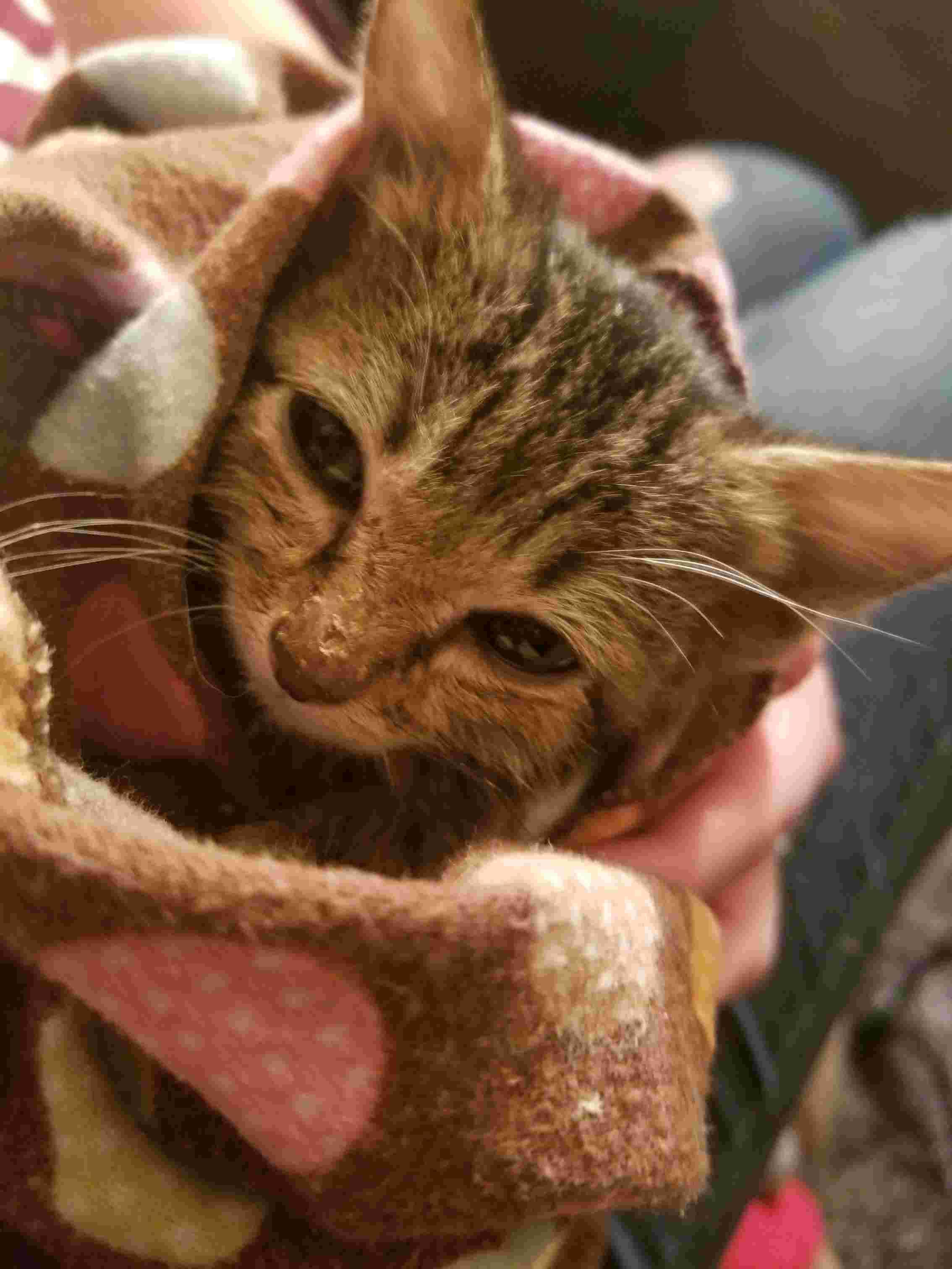 Question details sensitive content