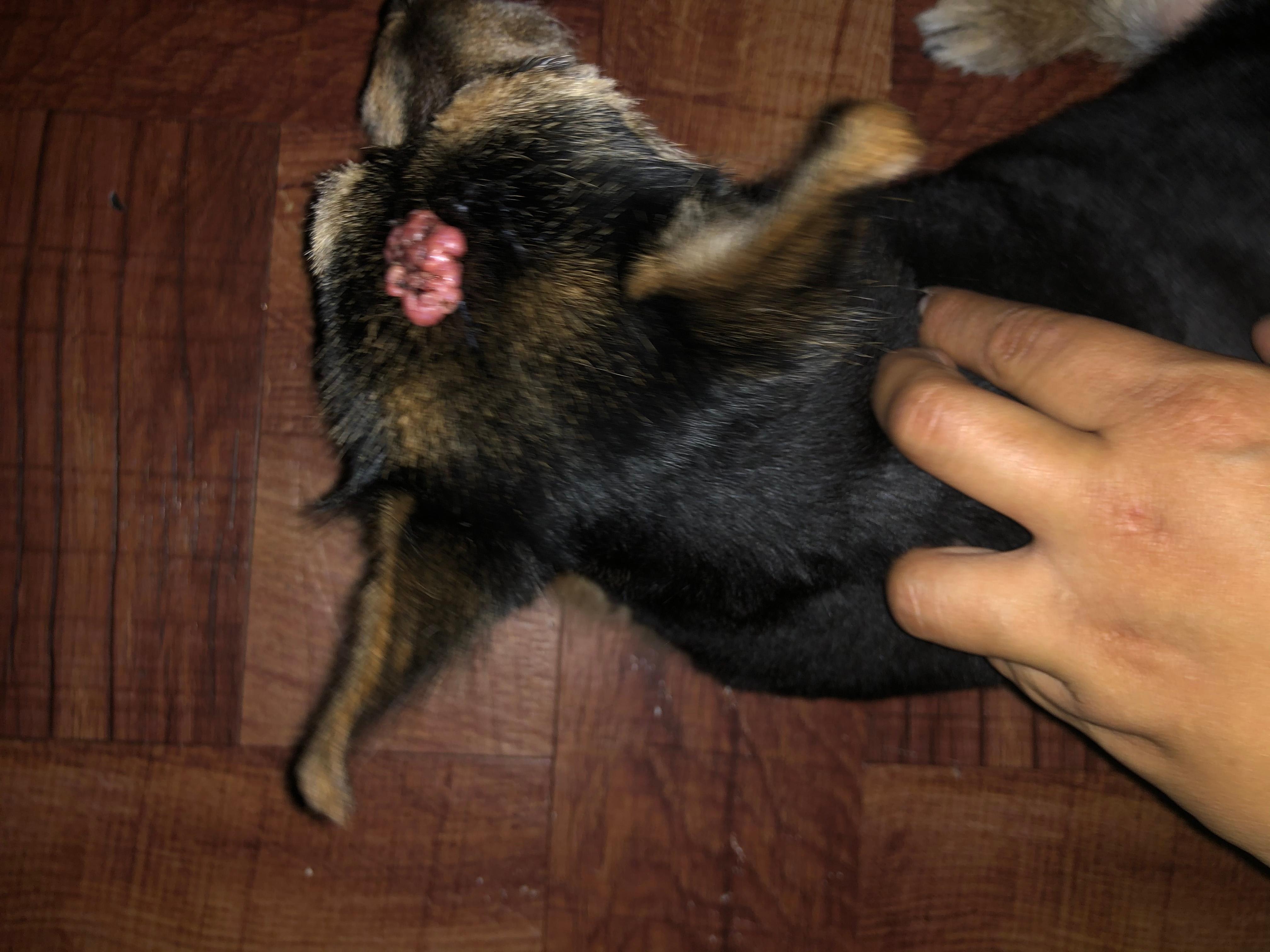 Question details sensitive content