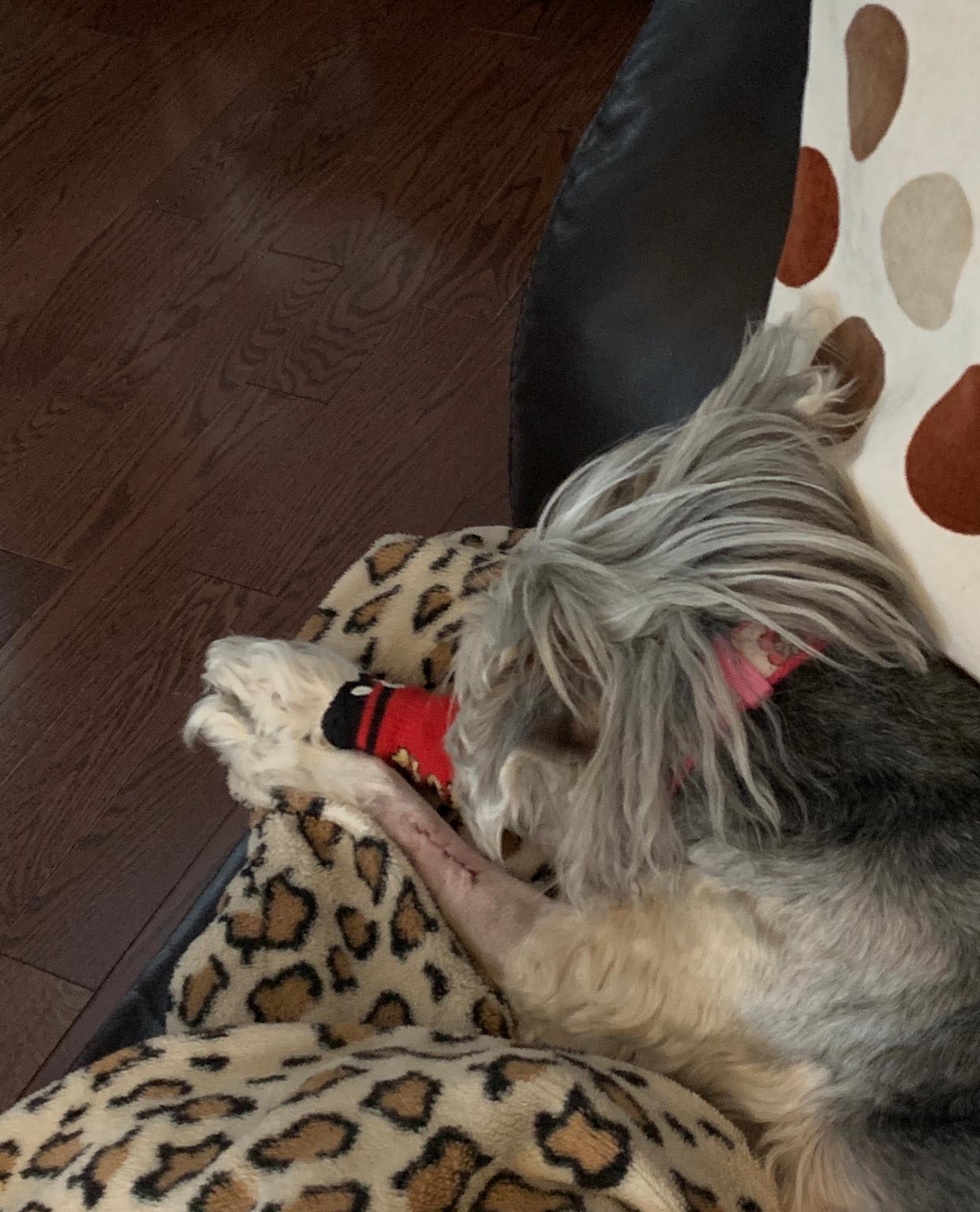 Question details sensitive content