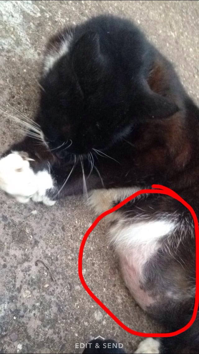 Question details sensitive content