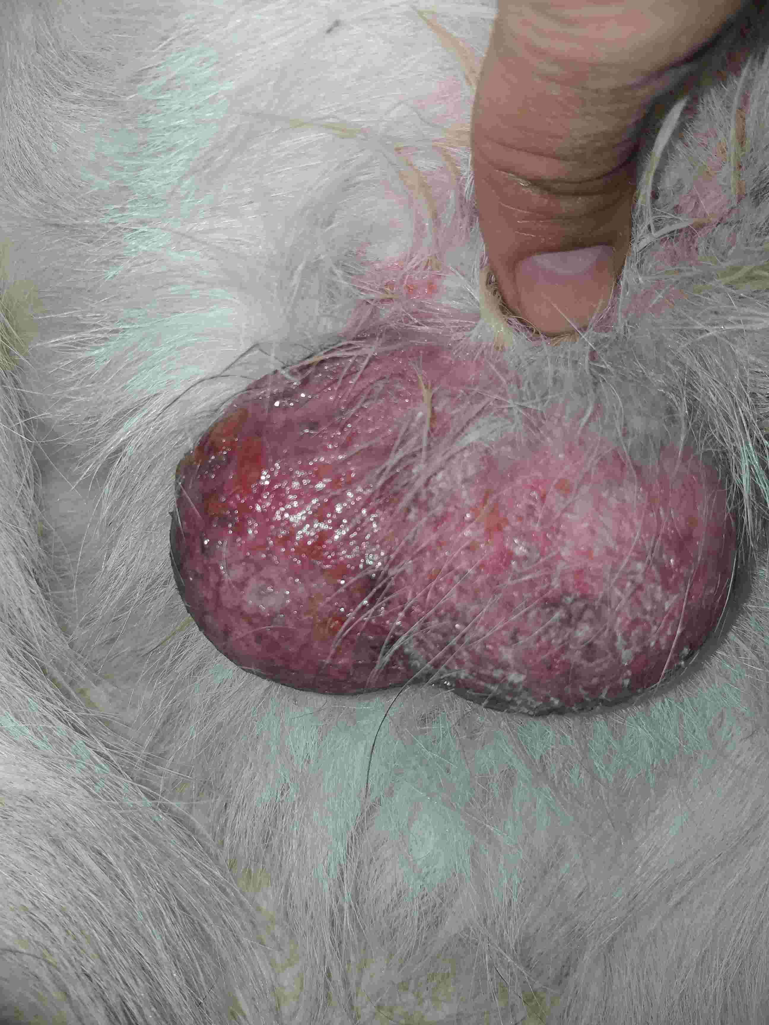 Question details sensitive content