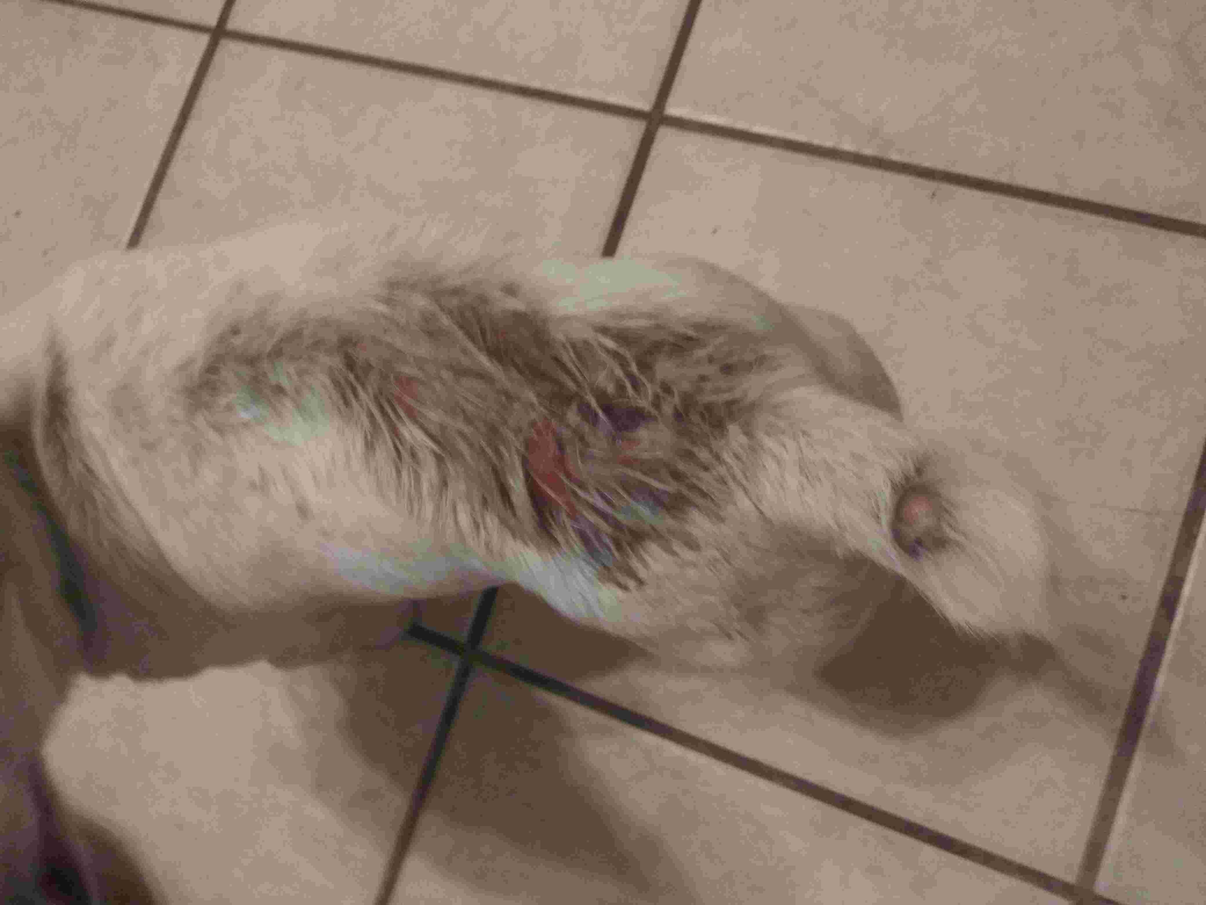 Question details sensitive content