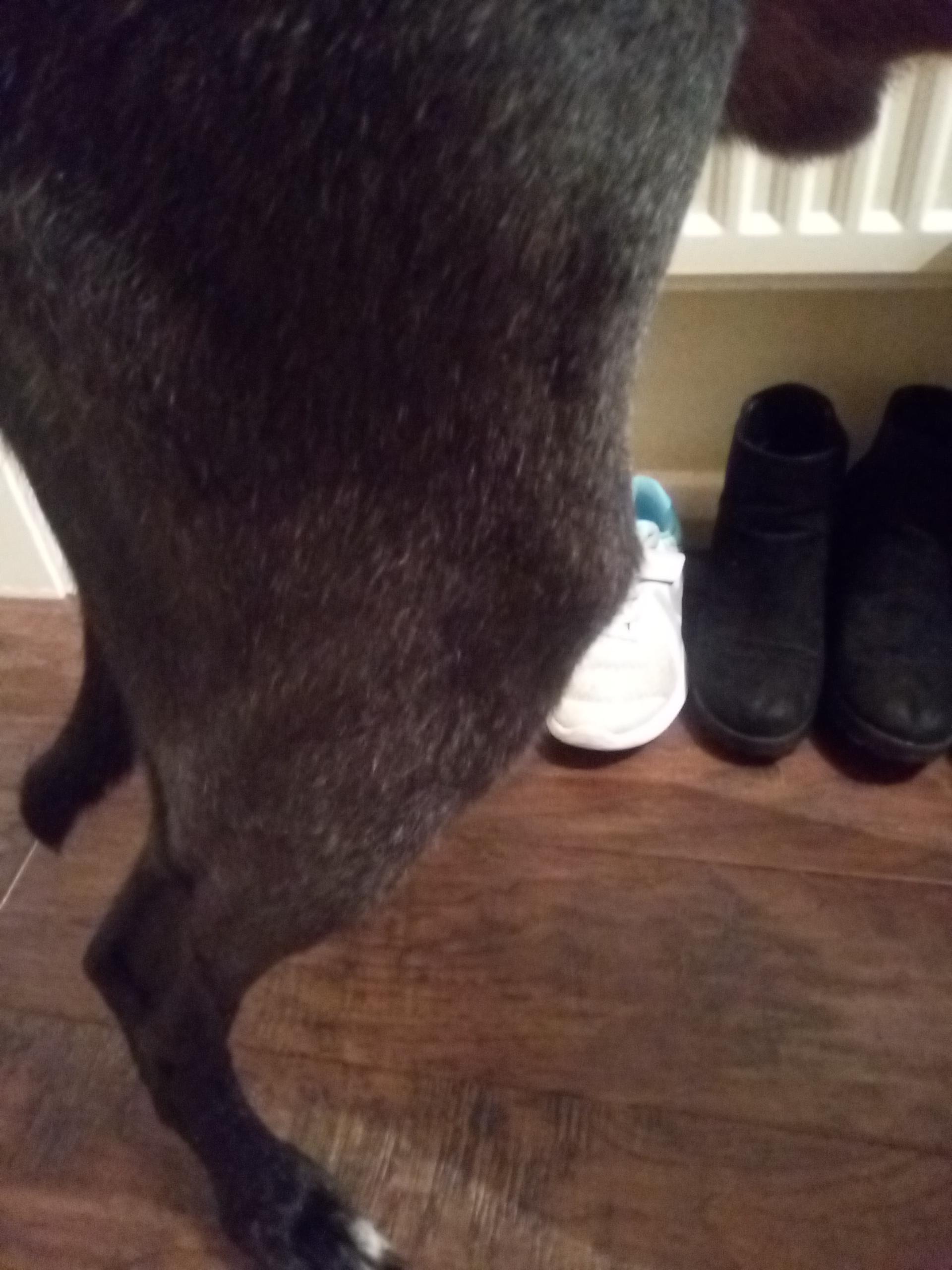 Question details sensitive content