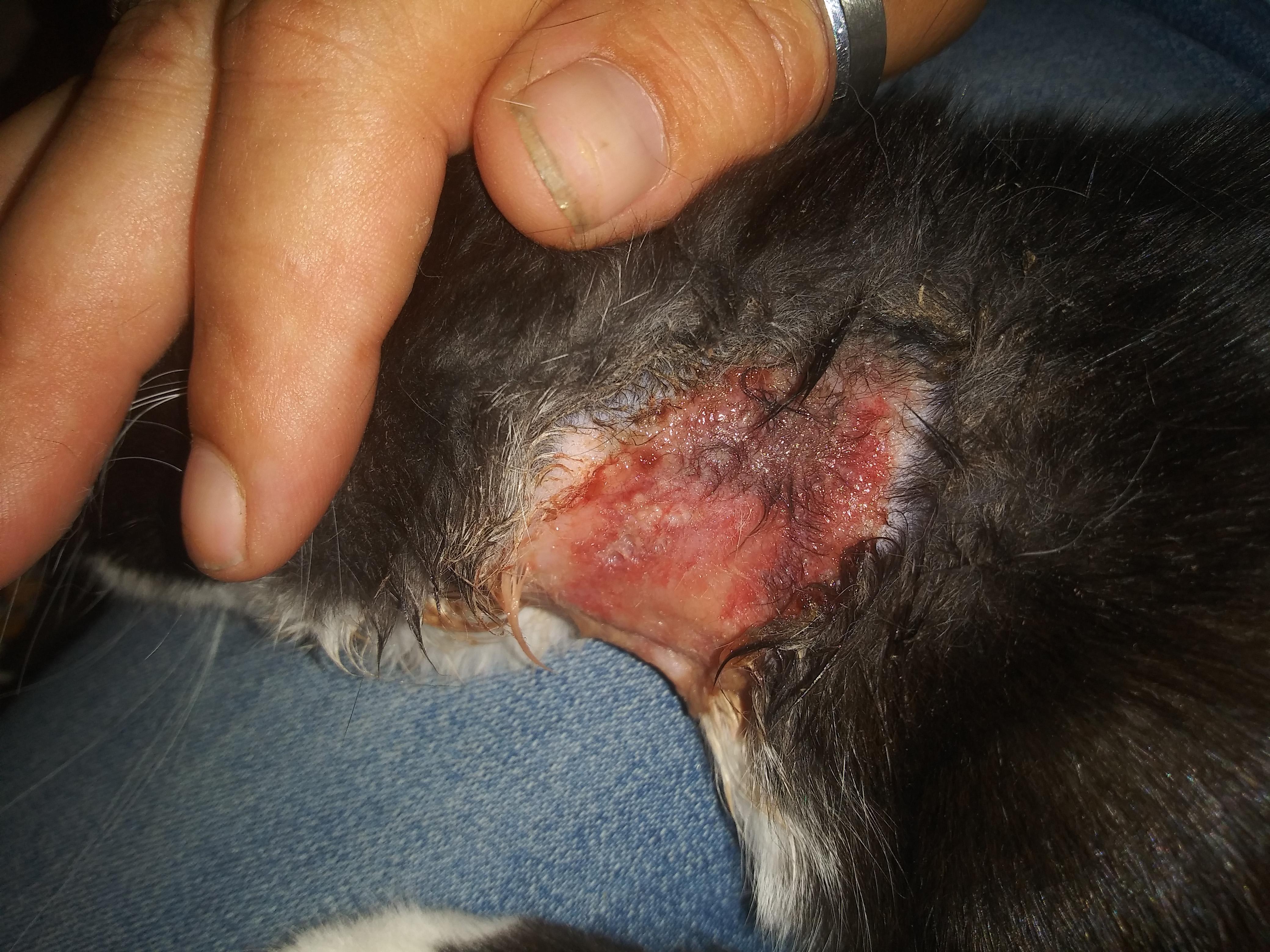 Question details sensitive content