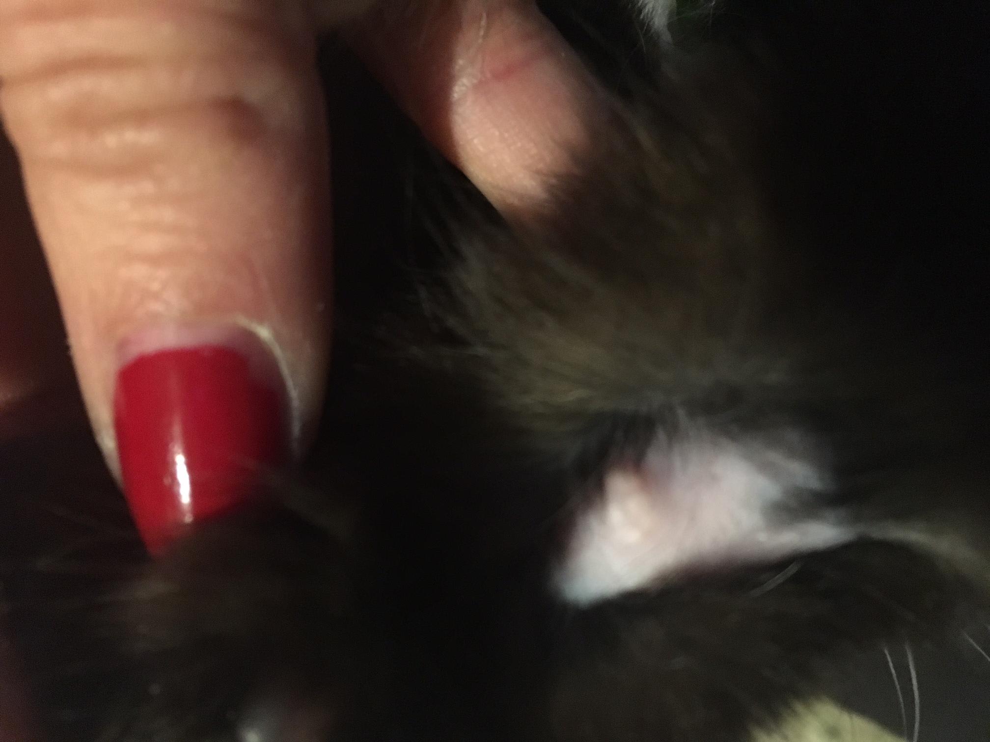 Question details sensitive content