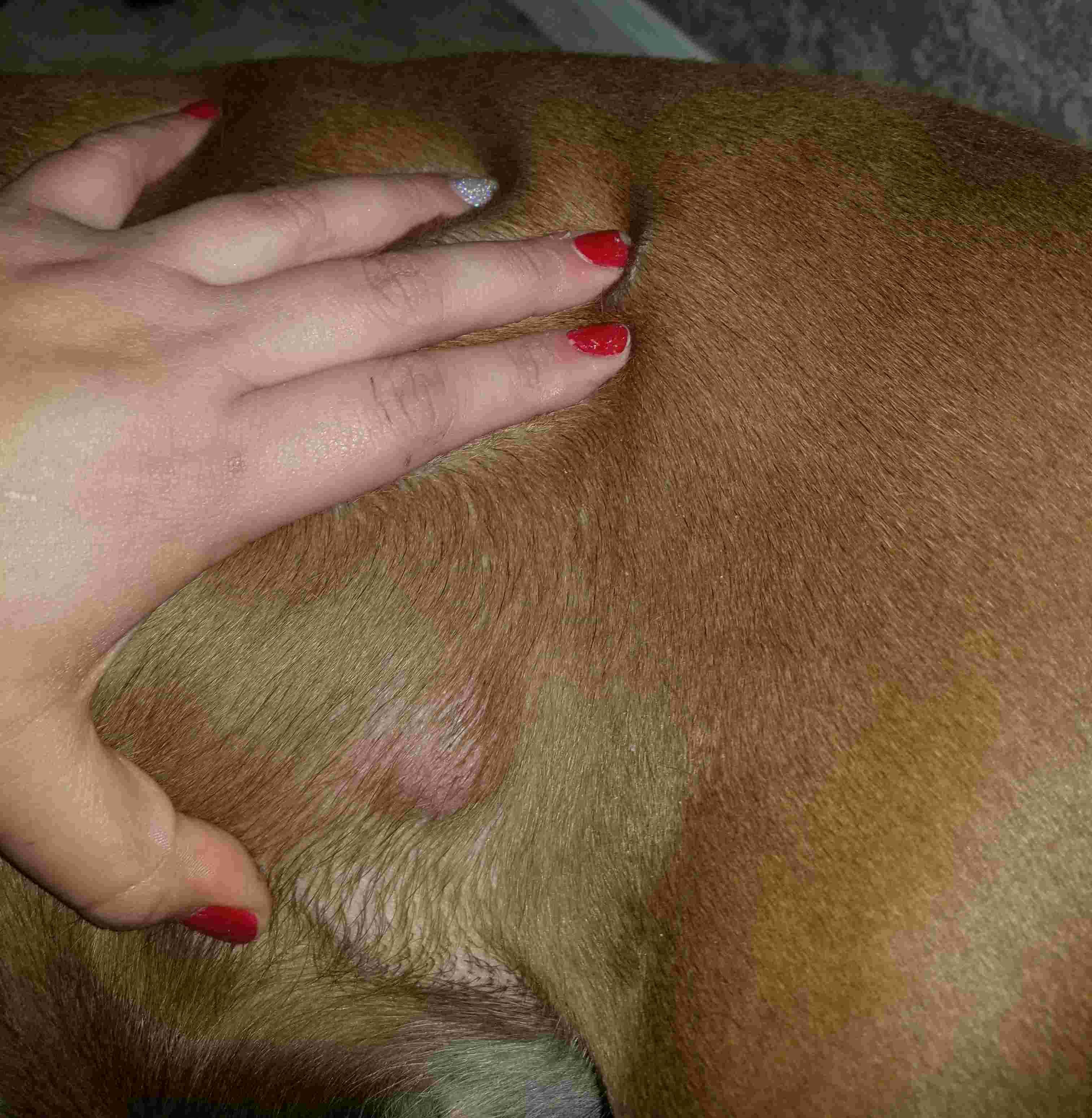 Question details sensitive content