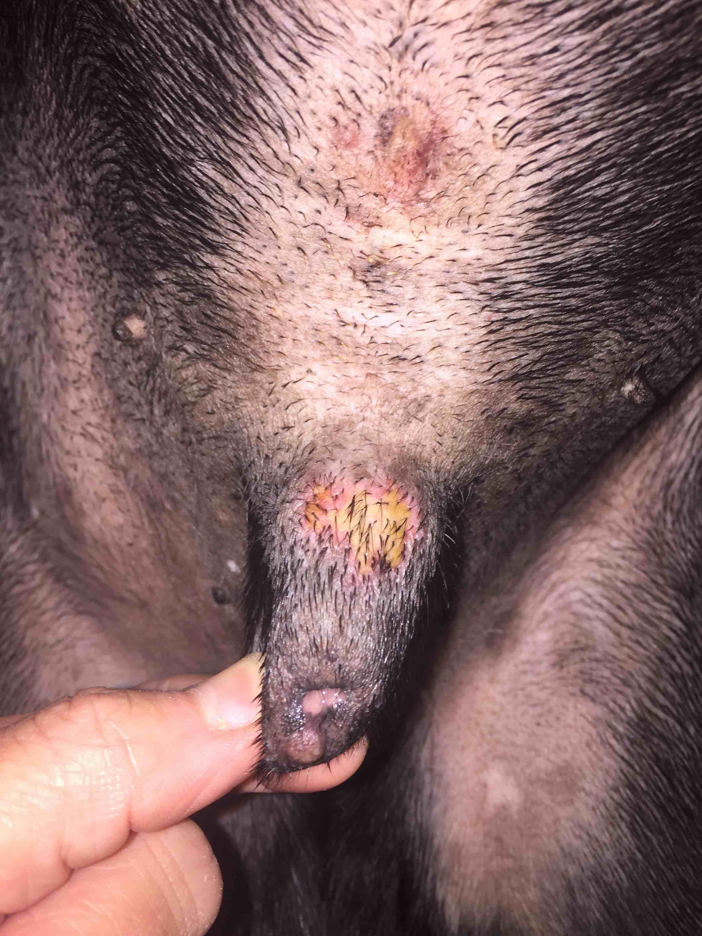 Question details sensitive content