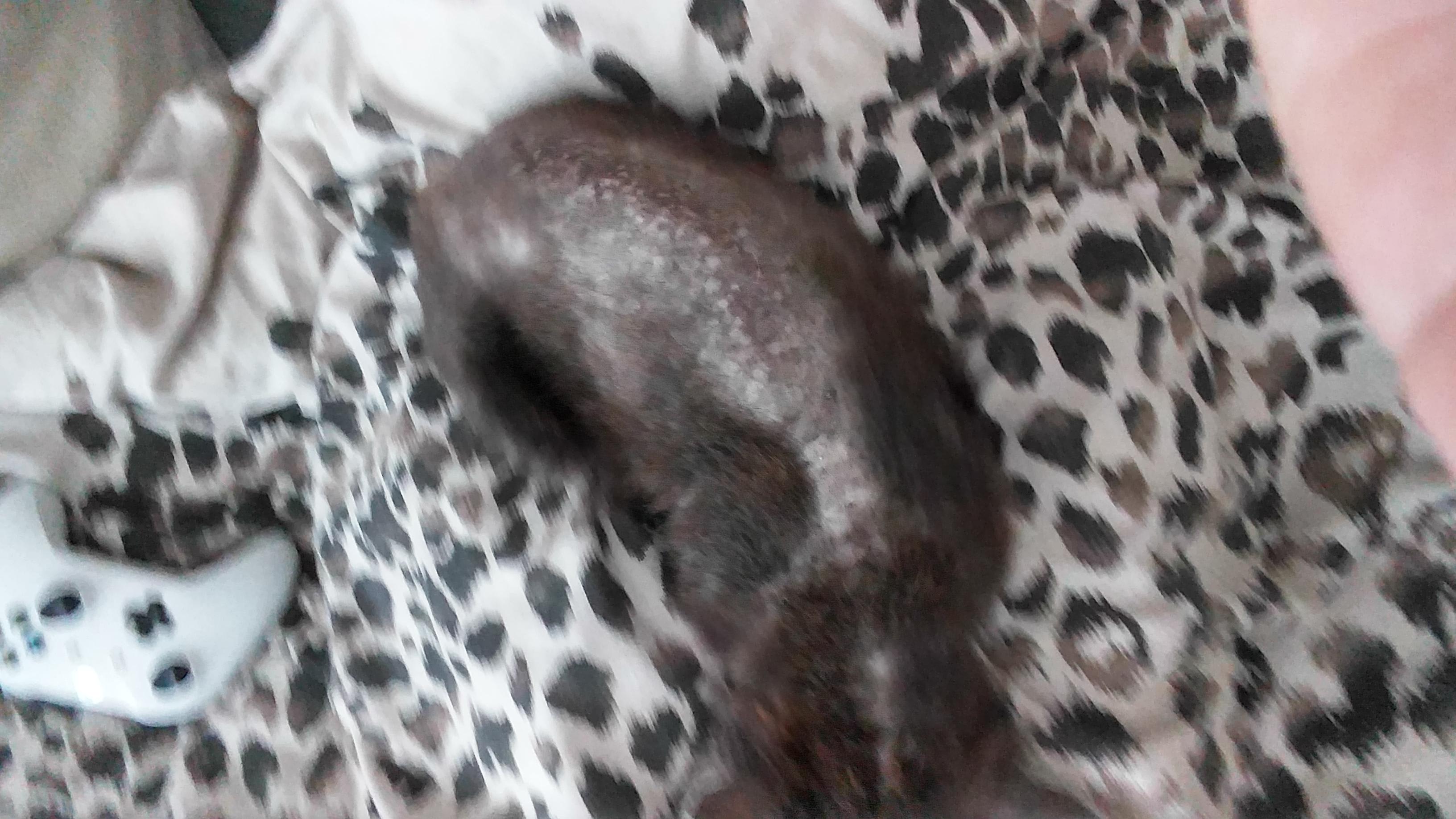 Question details sensitive content