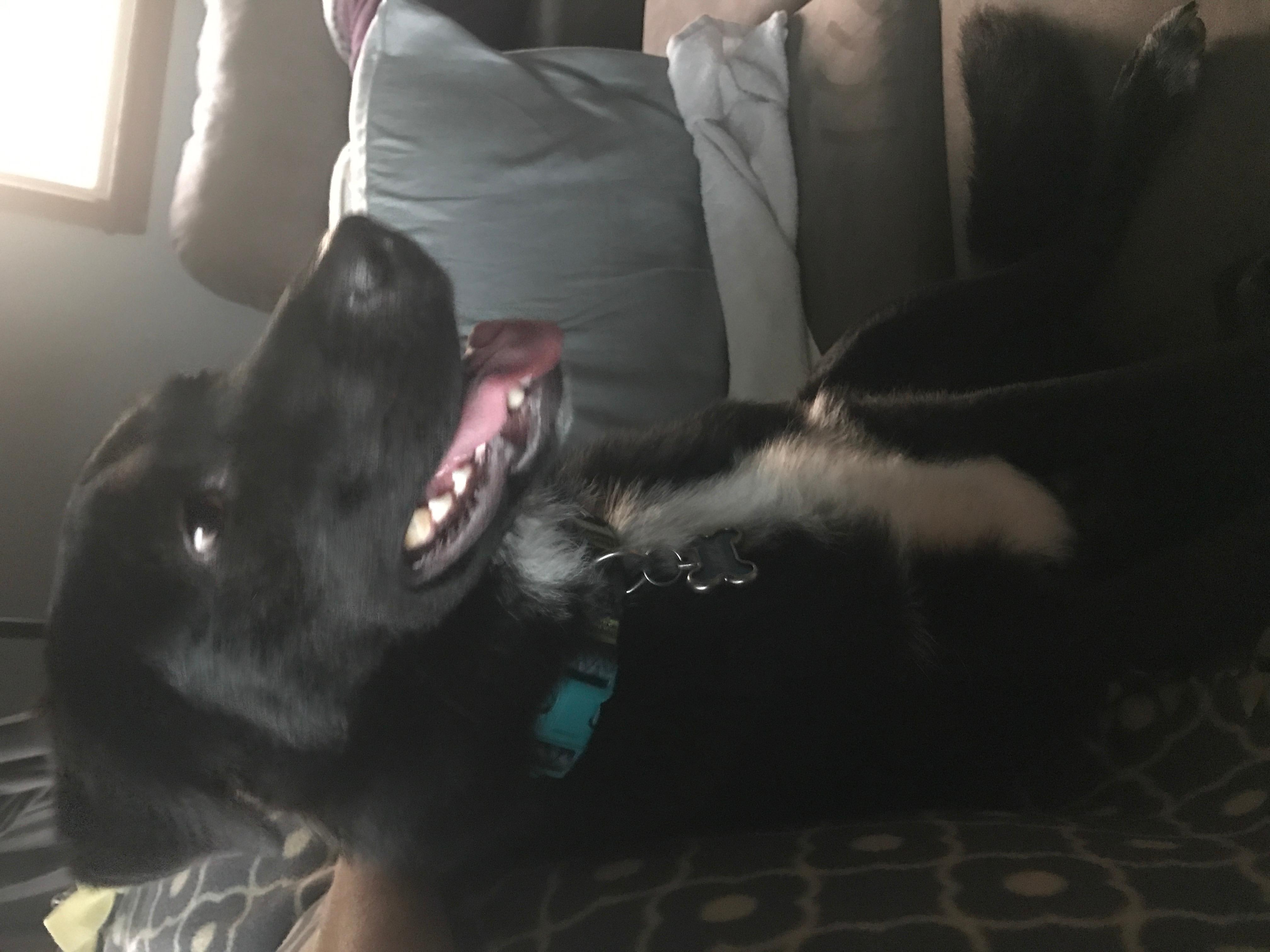 Question details sensitive content