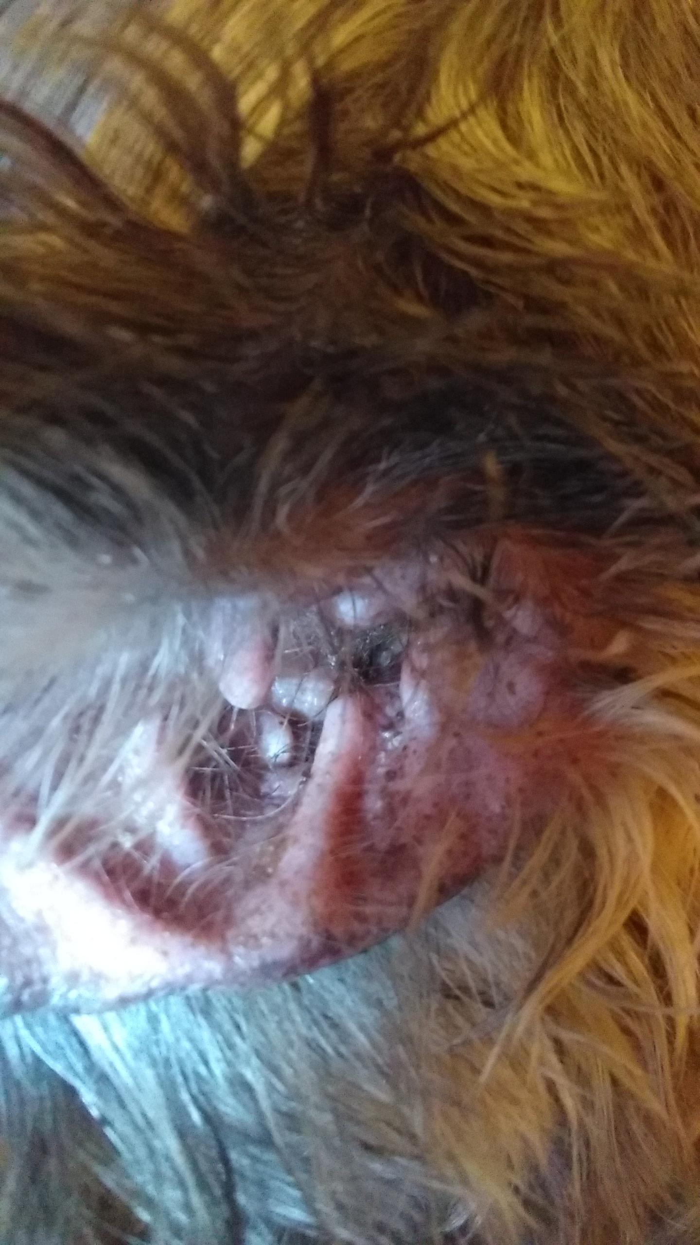 Question details sensitive content