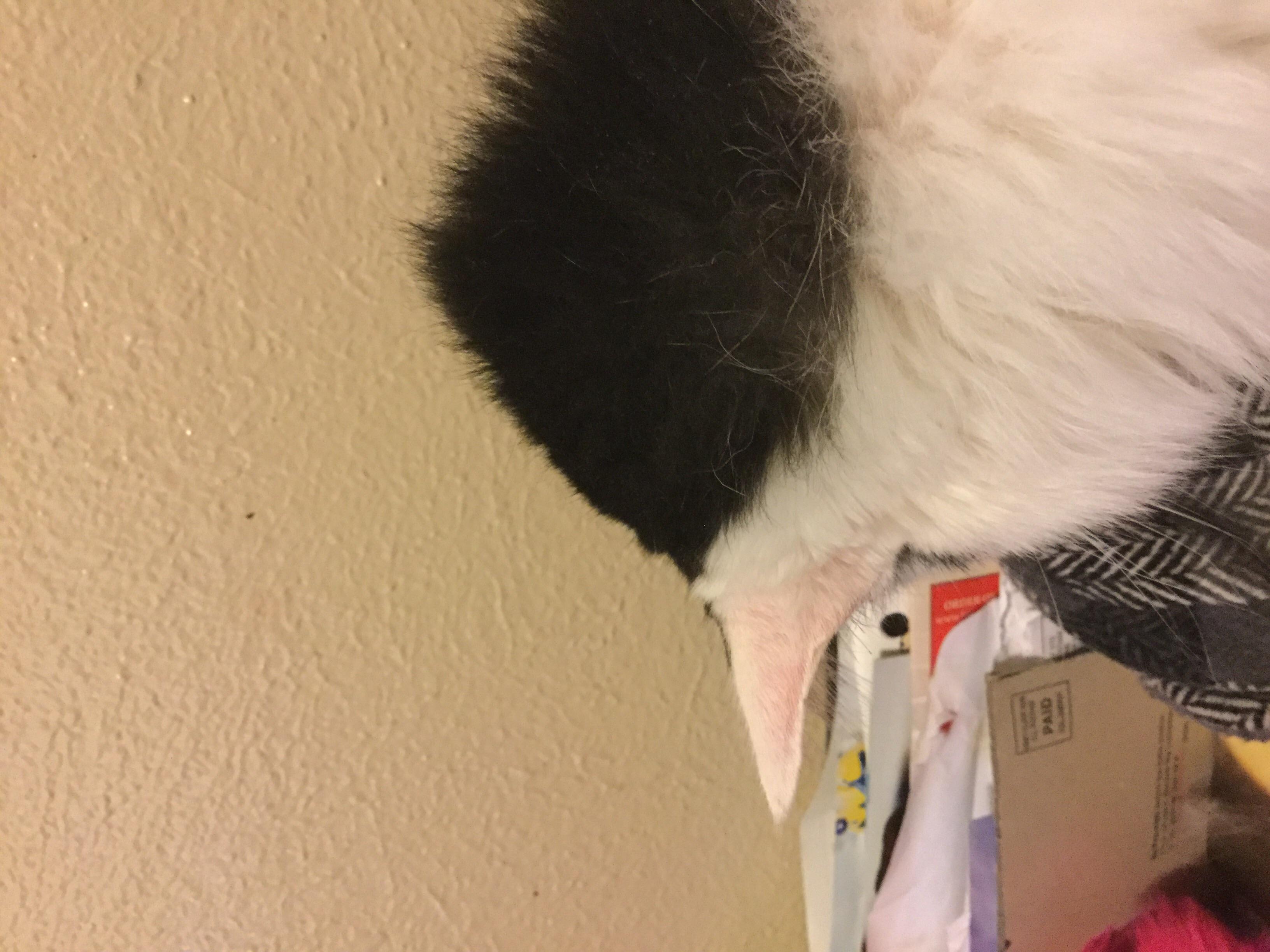 Question details sensitive content