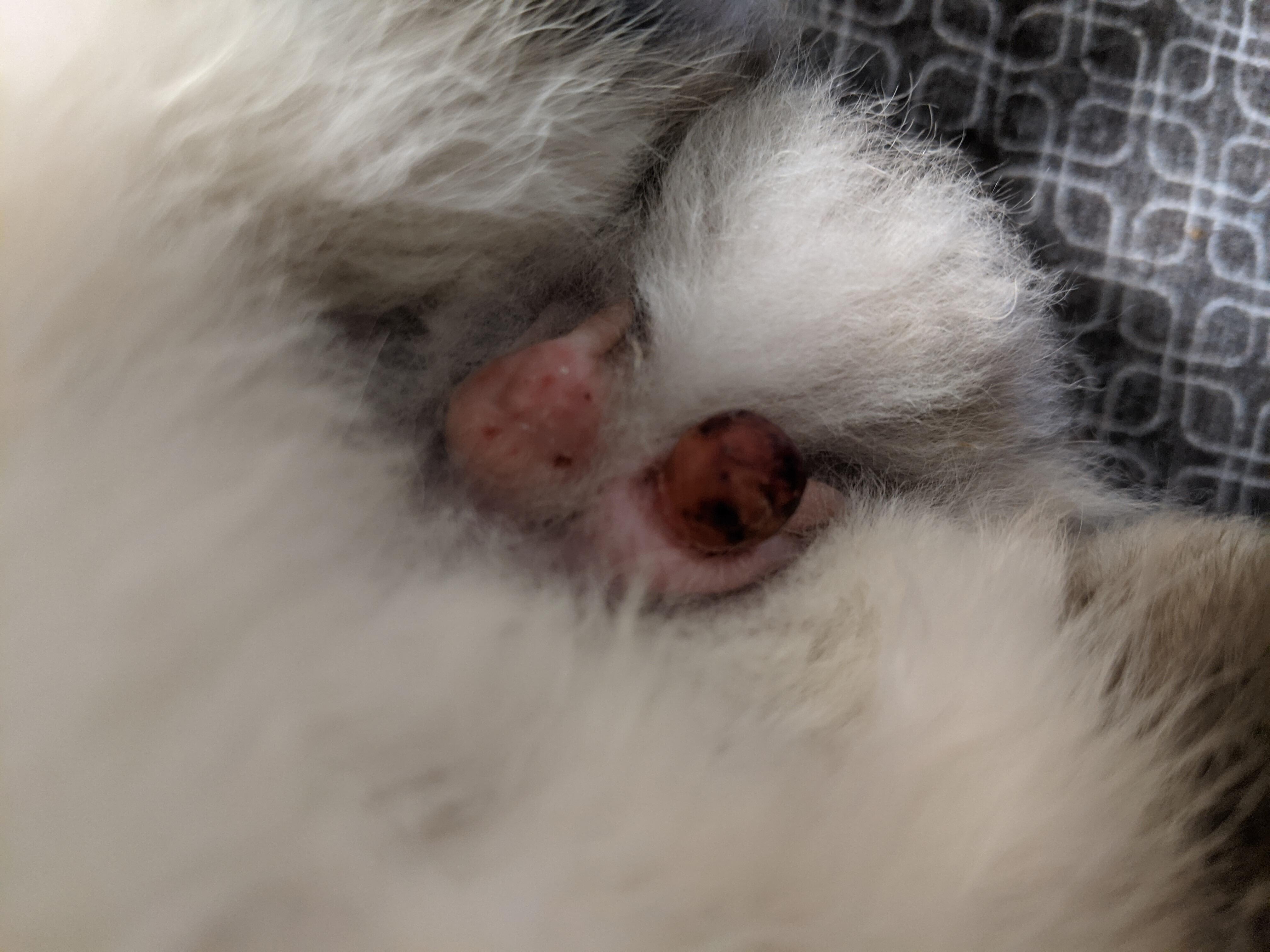 Question details sensitive content