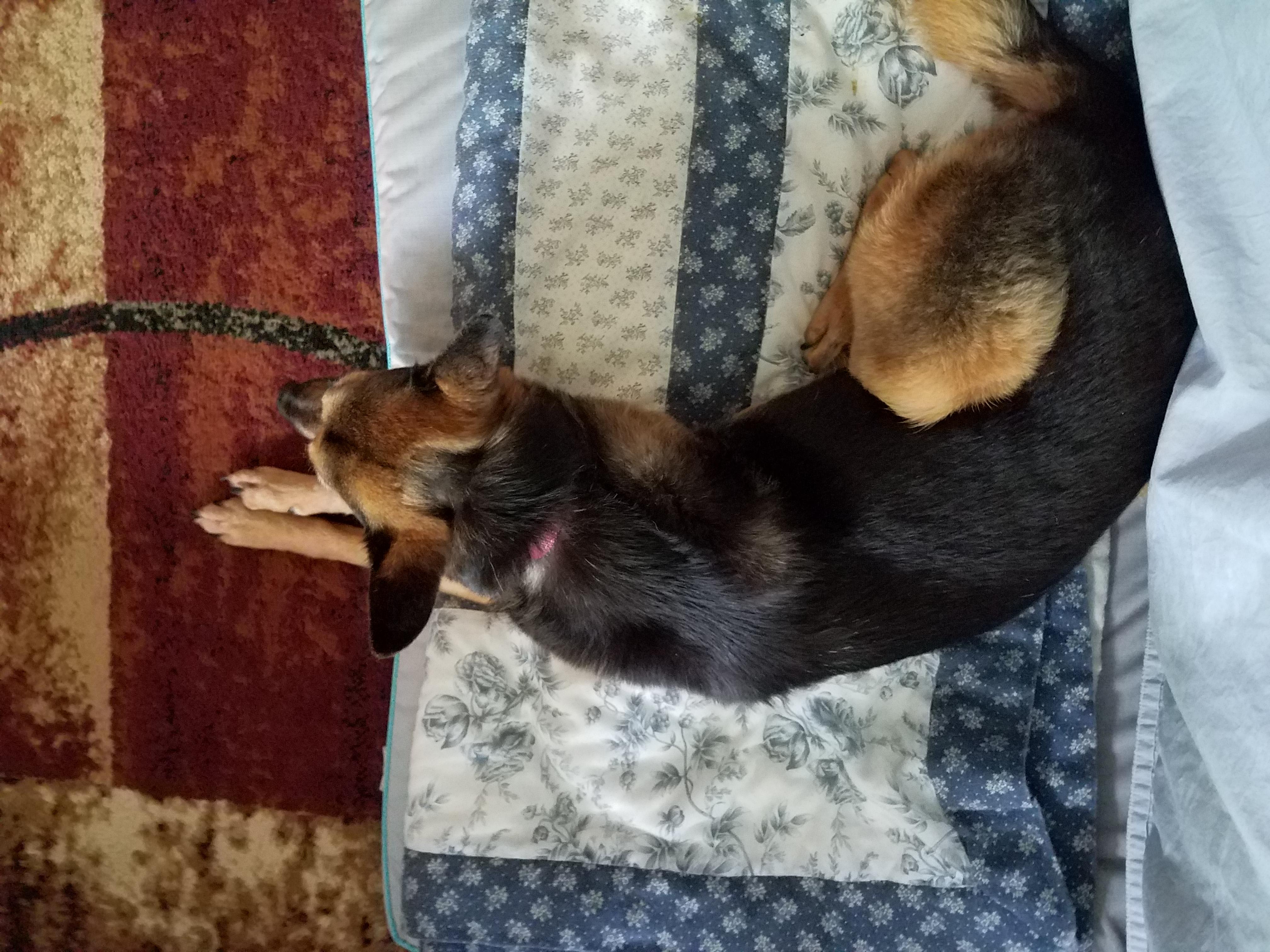 Question details sensitive content