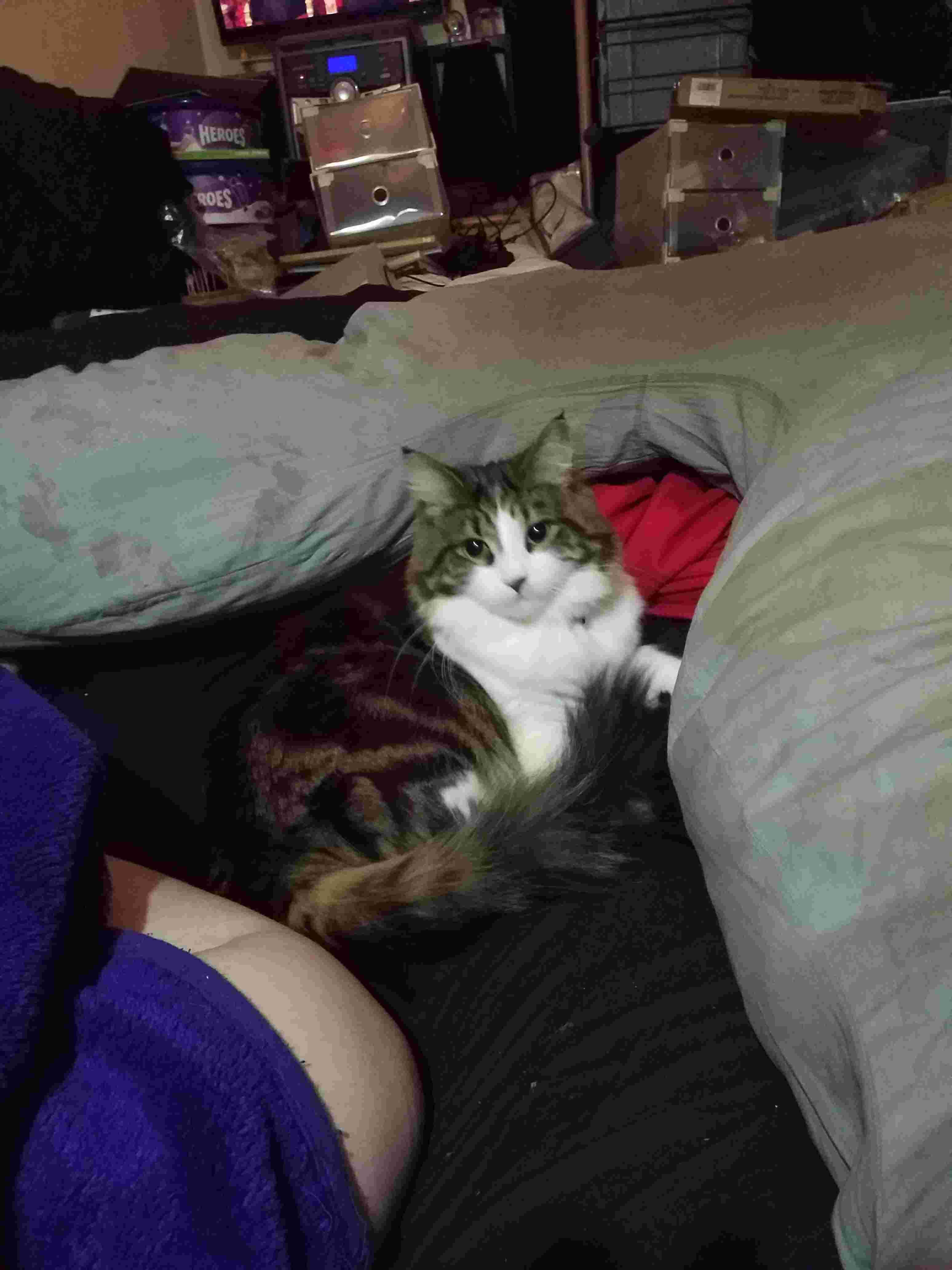 Question details sensitive content