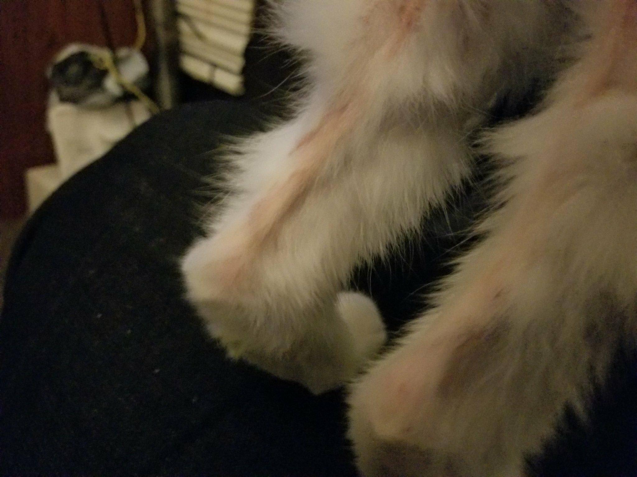 Question details sensitive content