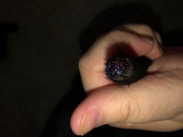 Question details sensitive content