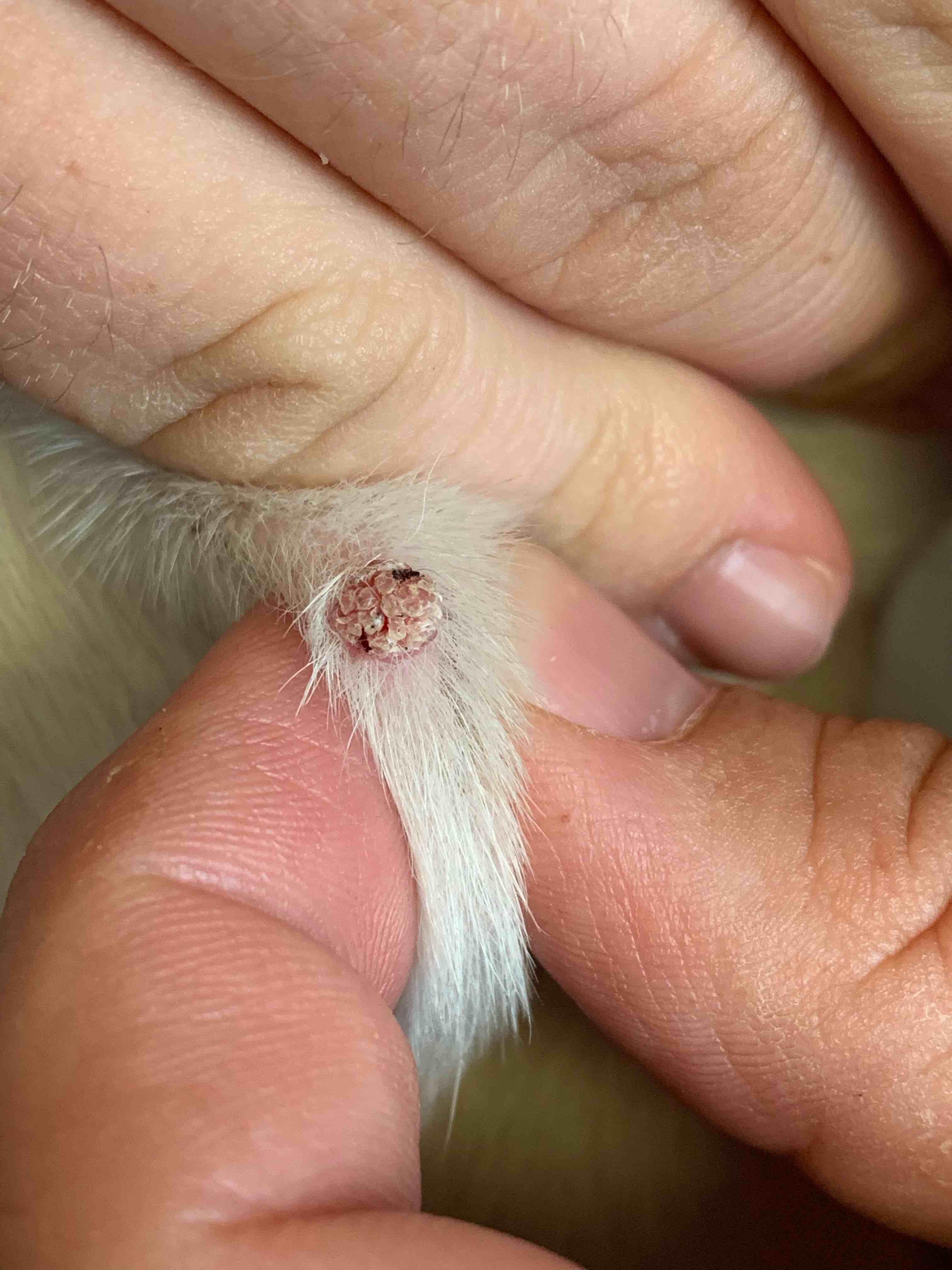 Question details sensitive content