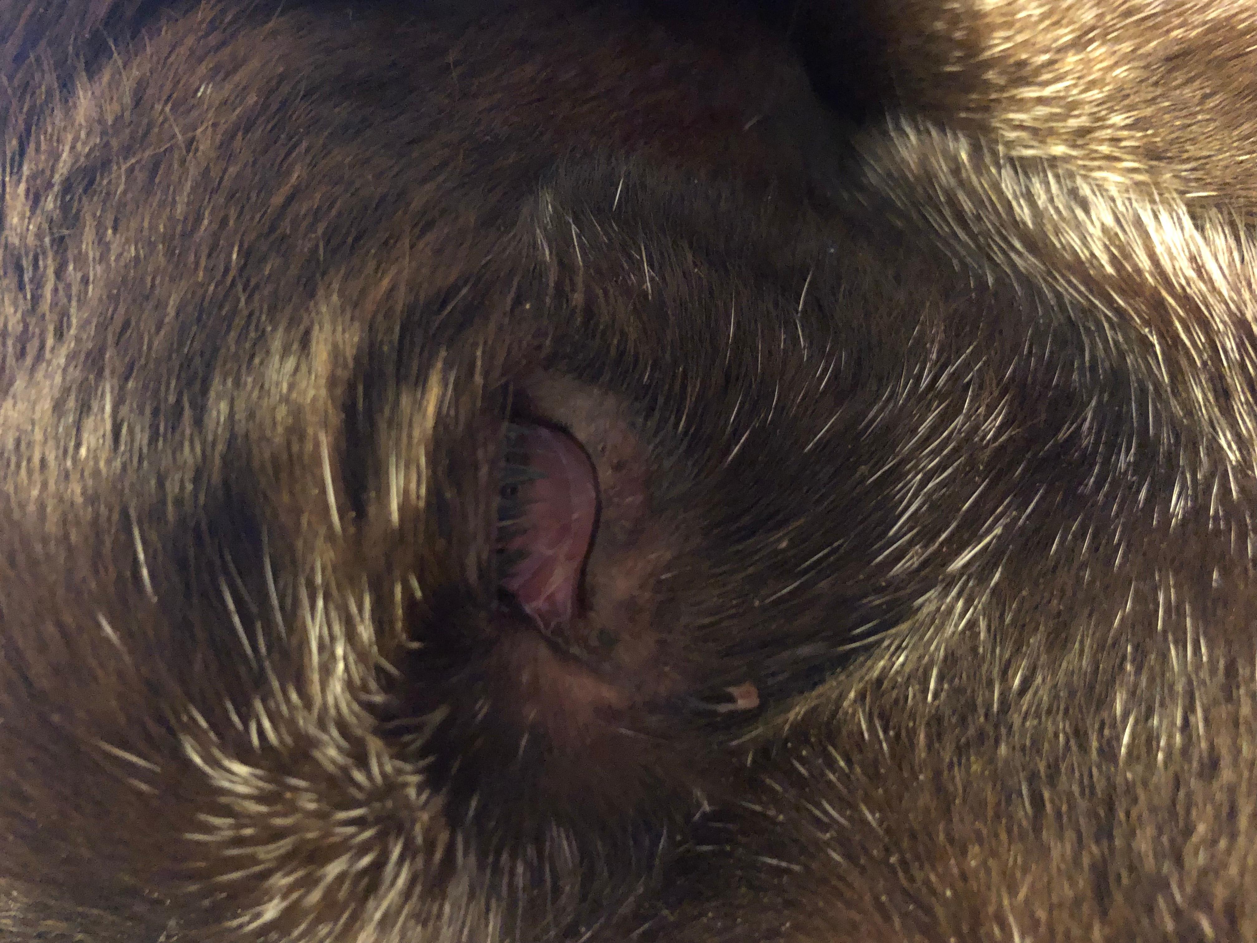 Question details sensitive content