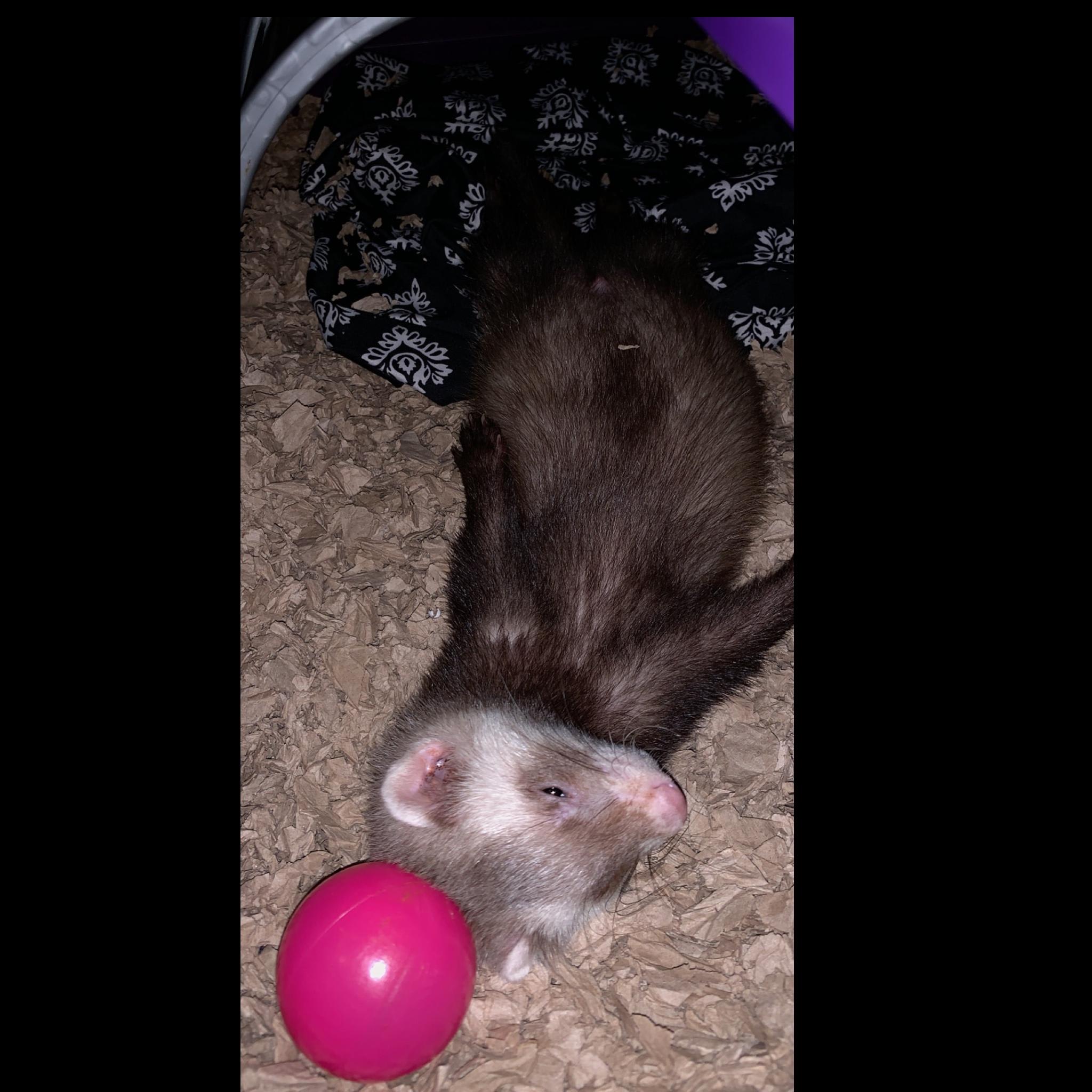 Question details sensitive content