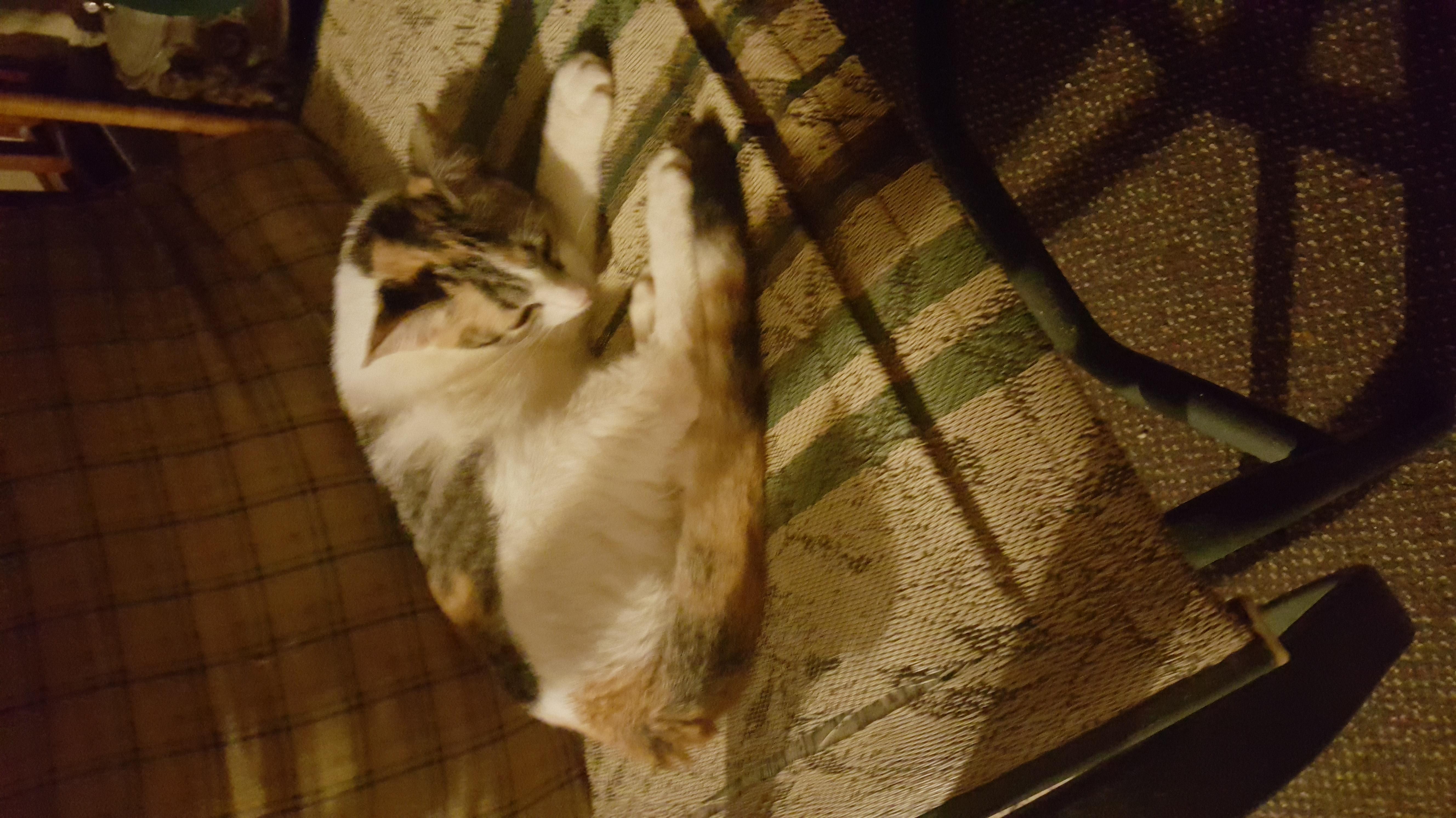 Question details sensitive content