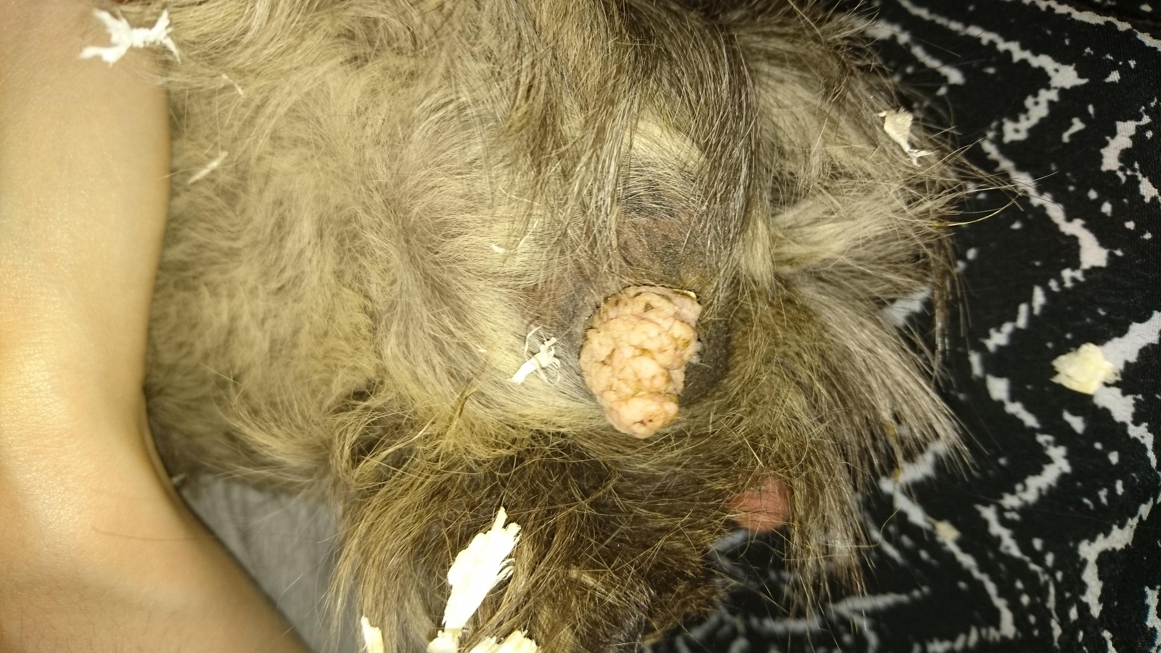 Question details sensitive content