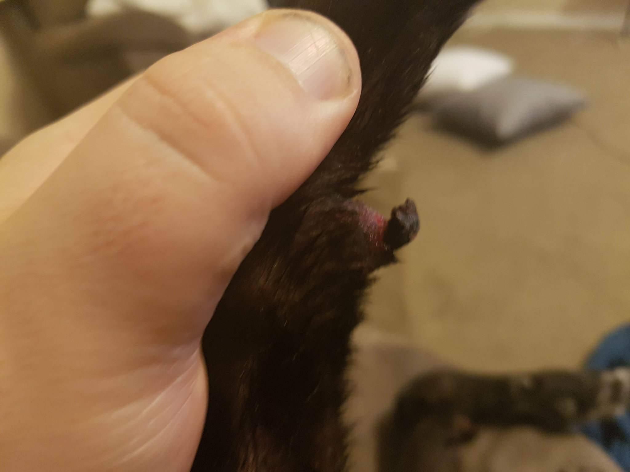 Question details sensitive content