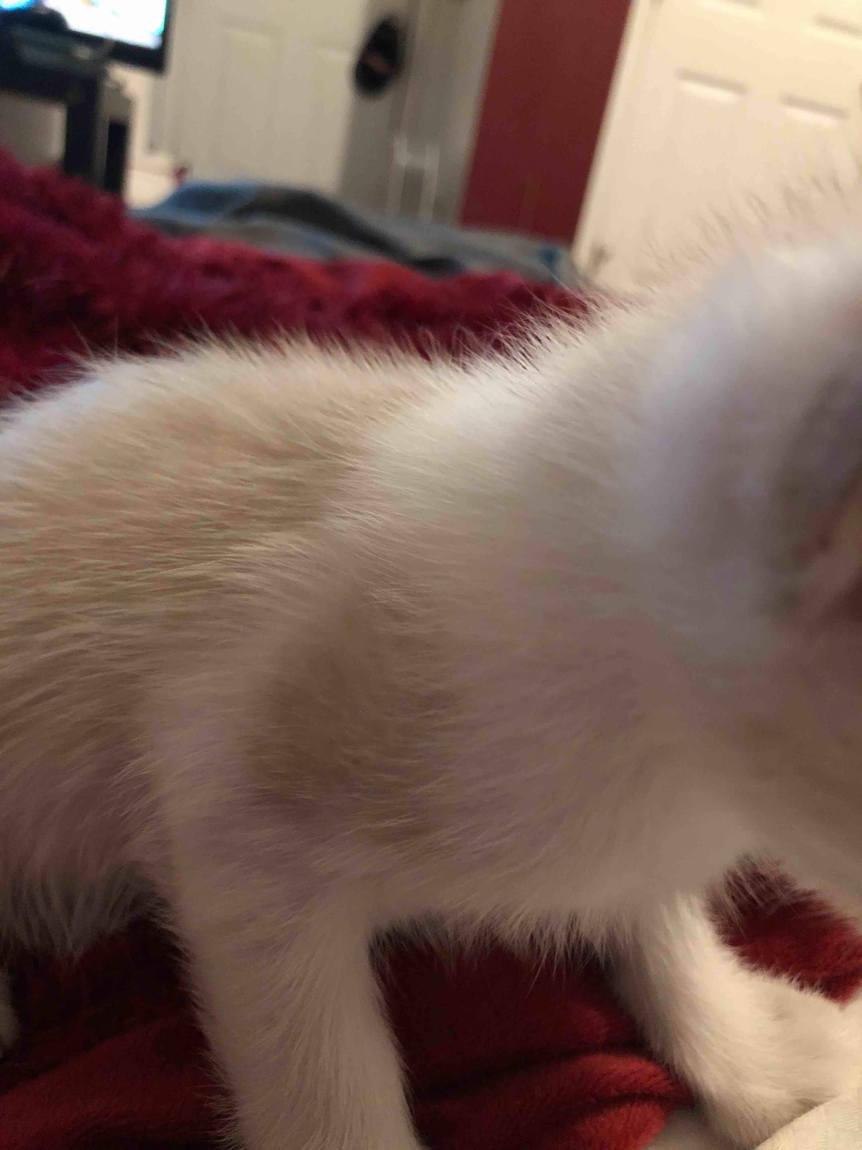 Question details sensitive content