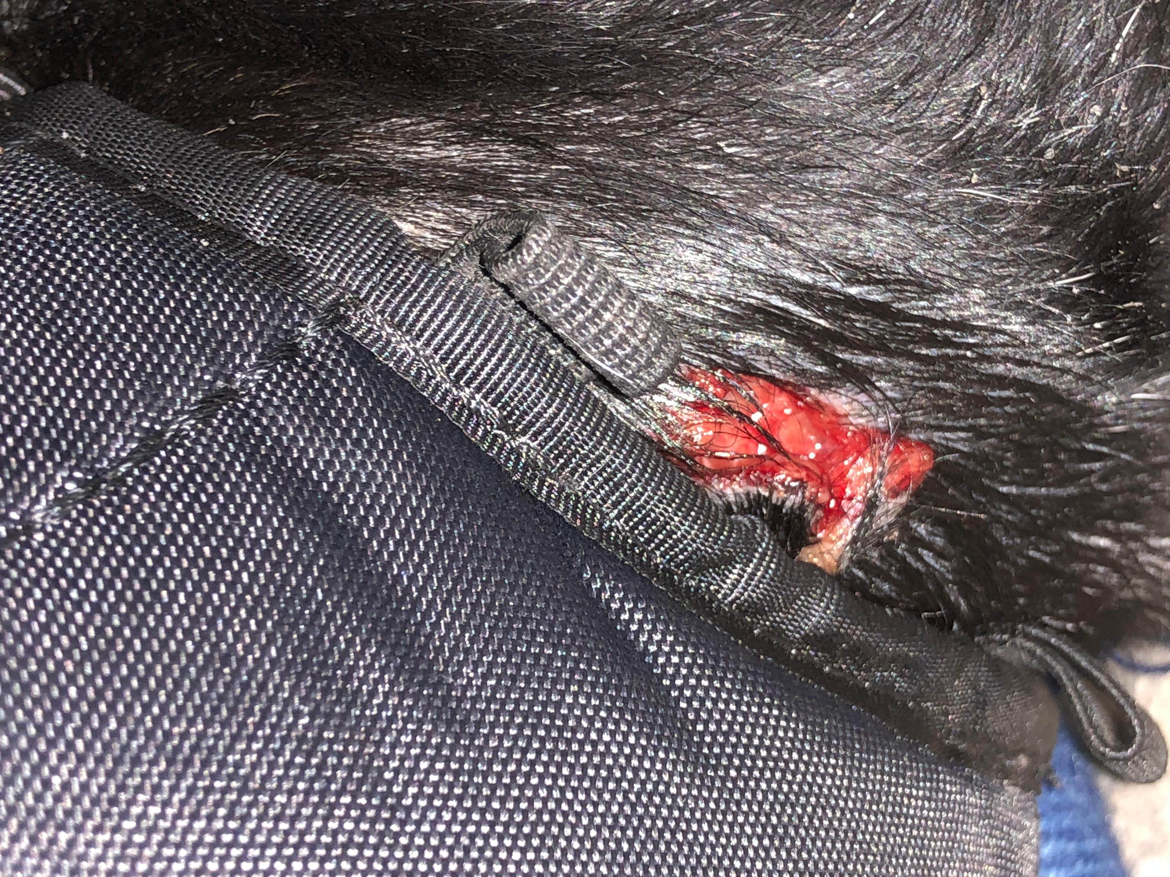 Question details sensitive content