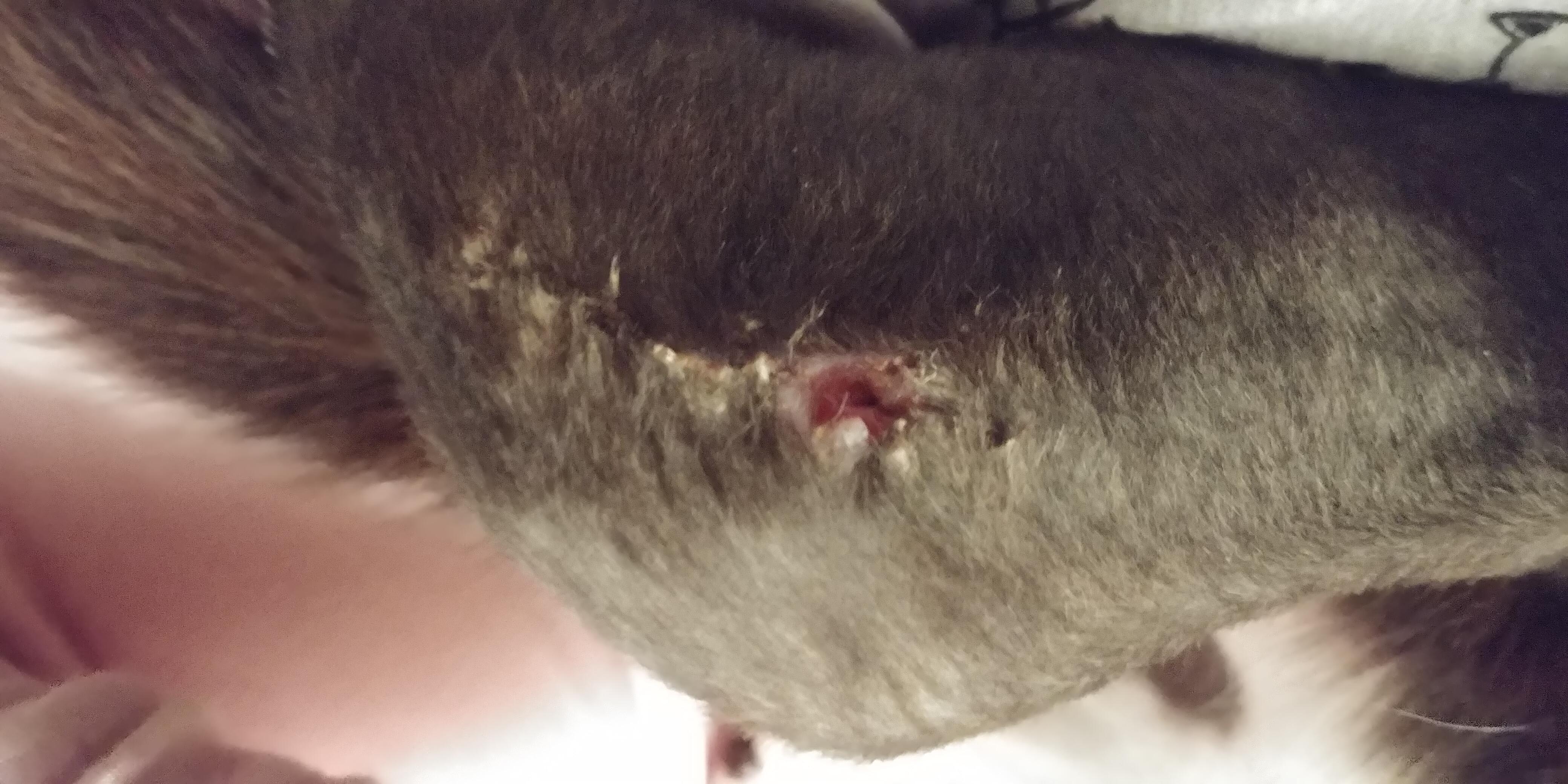 Question details sensitive content